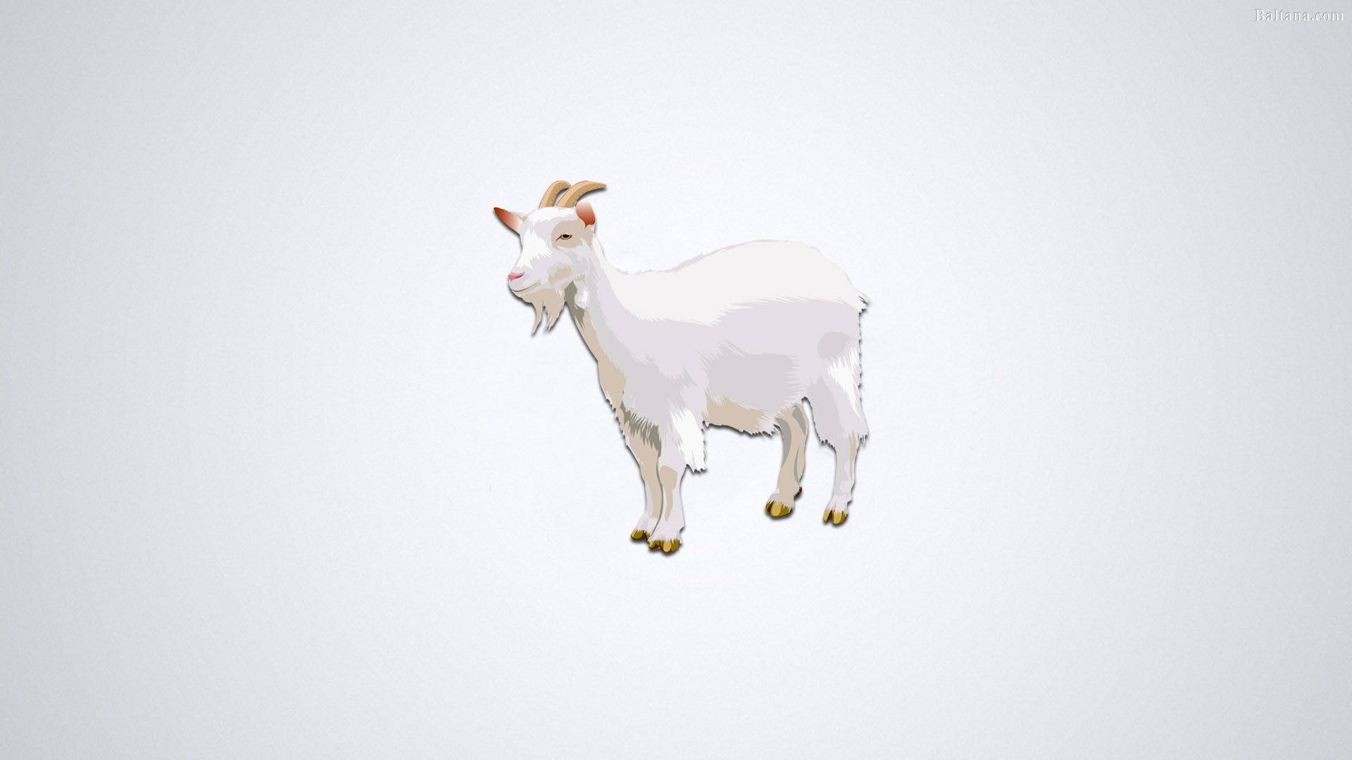 White Goat Digital Art