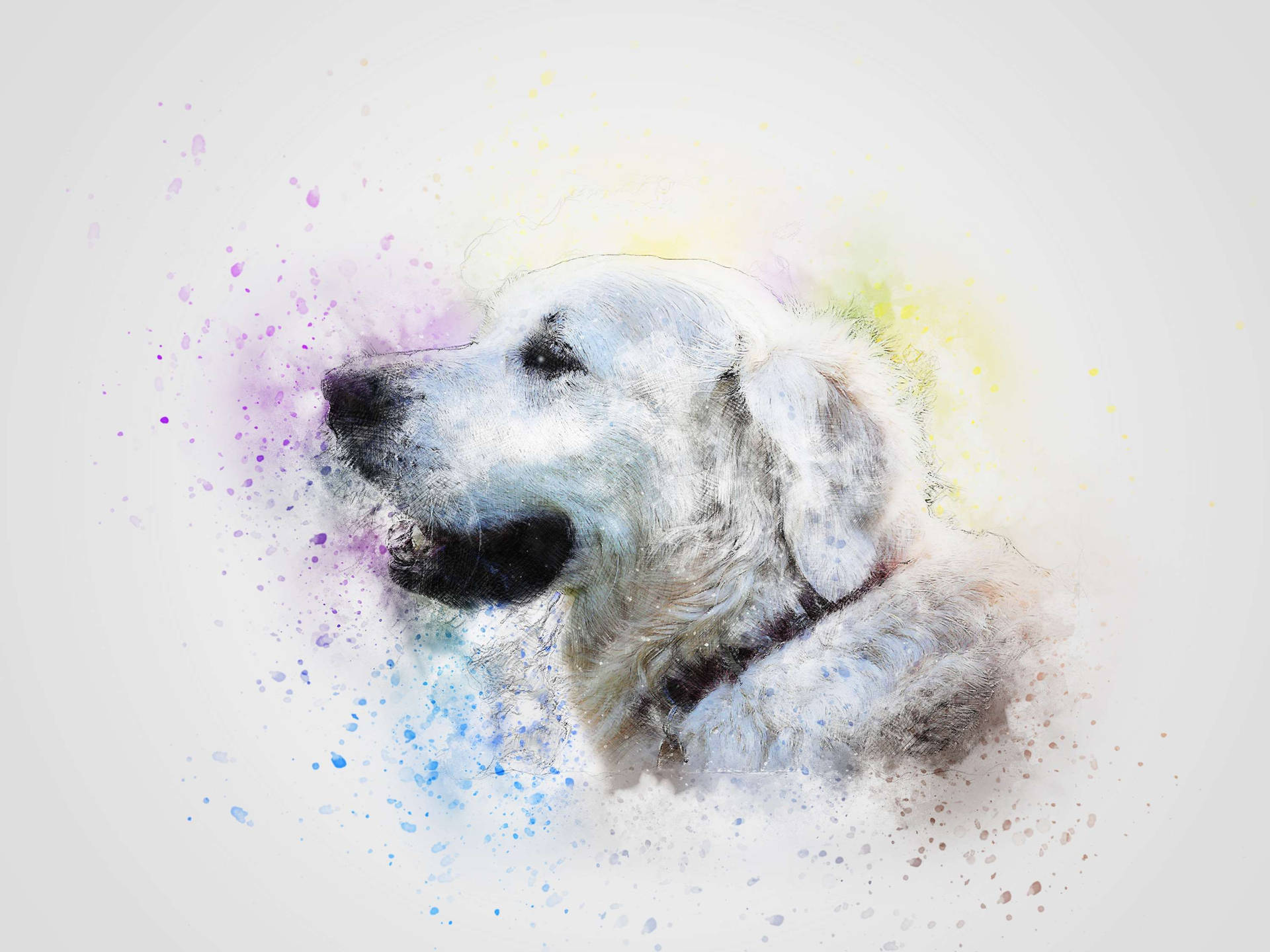 White Golden Retriever Dog Art Background