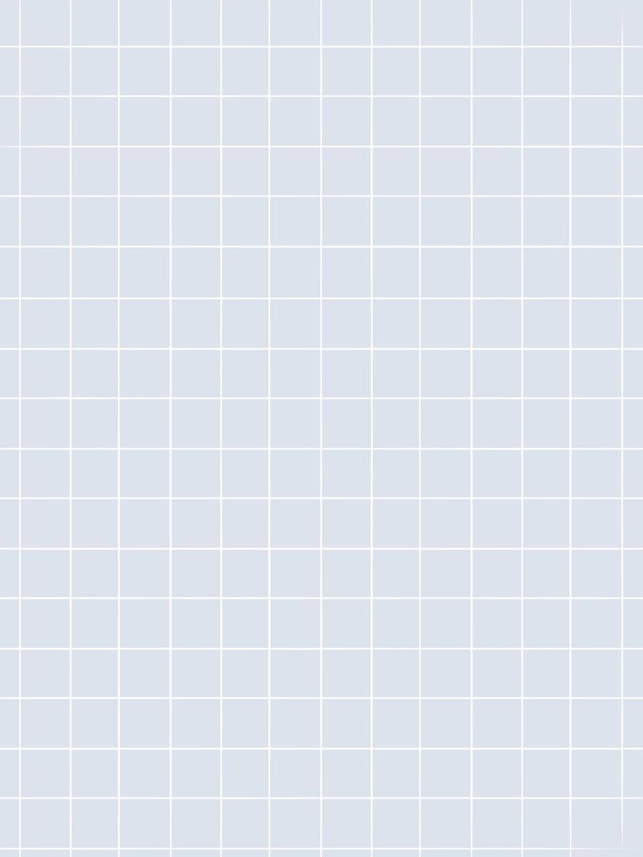 White Grid Aesthetic Portrait Background