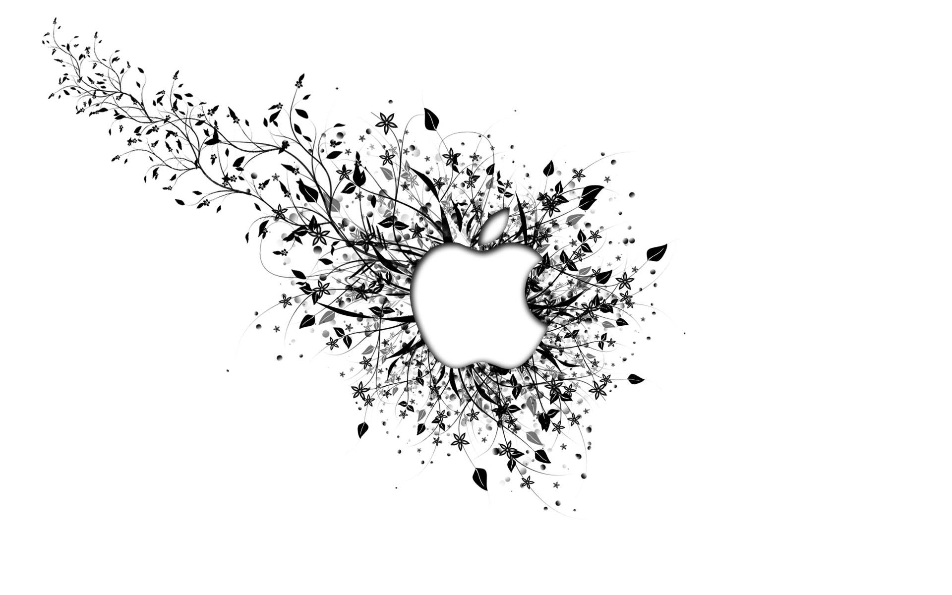White Hd Apple Logo Background