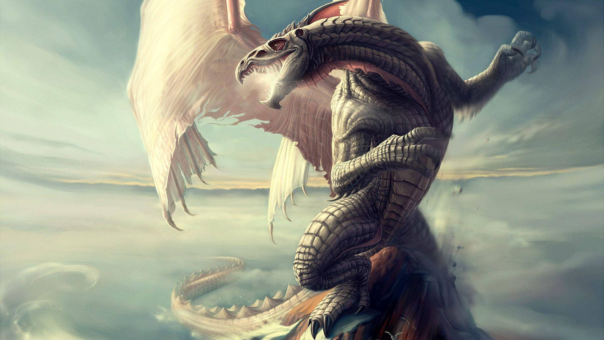 White Hd Dragon On Clouds Background