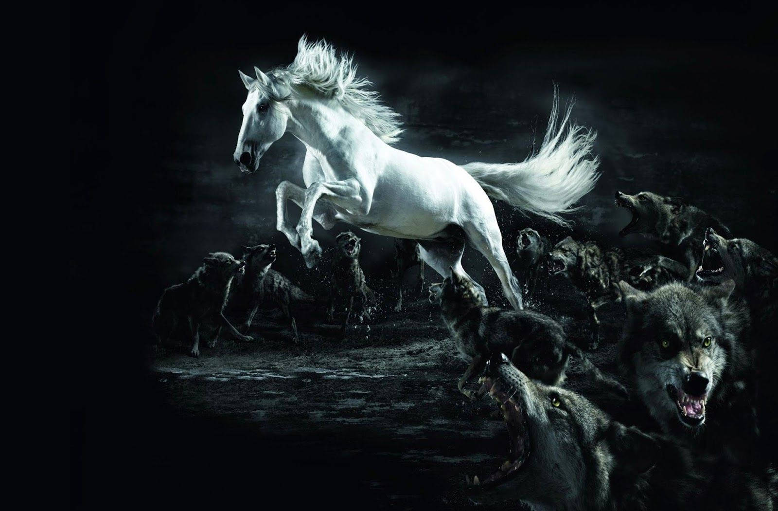 White Horse Against Wolves Background