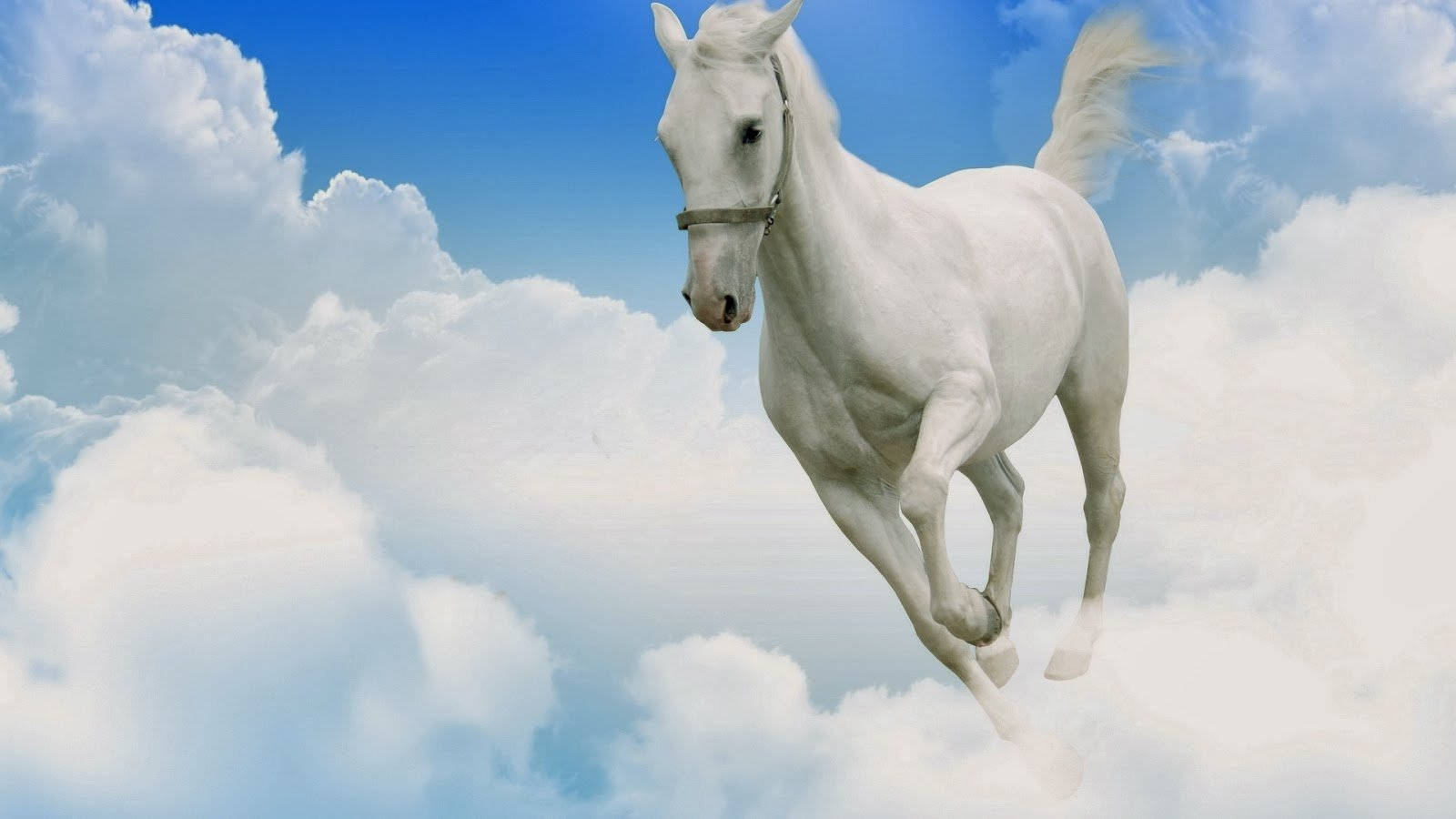 White Horse In The Clouds