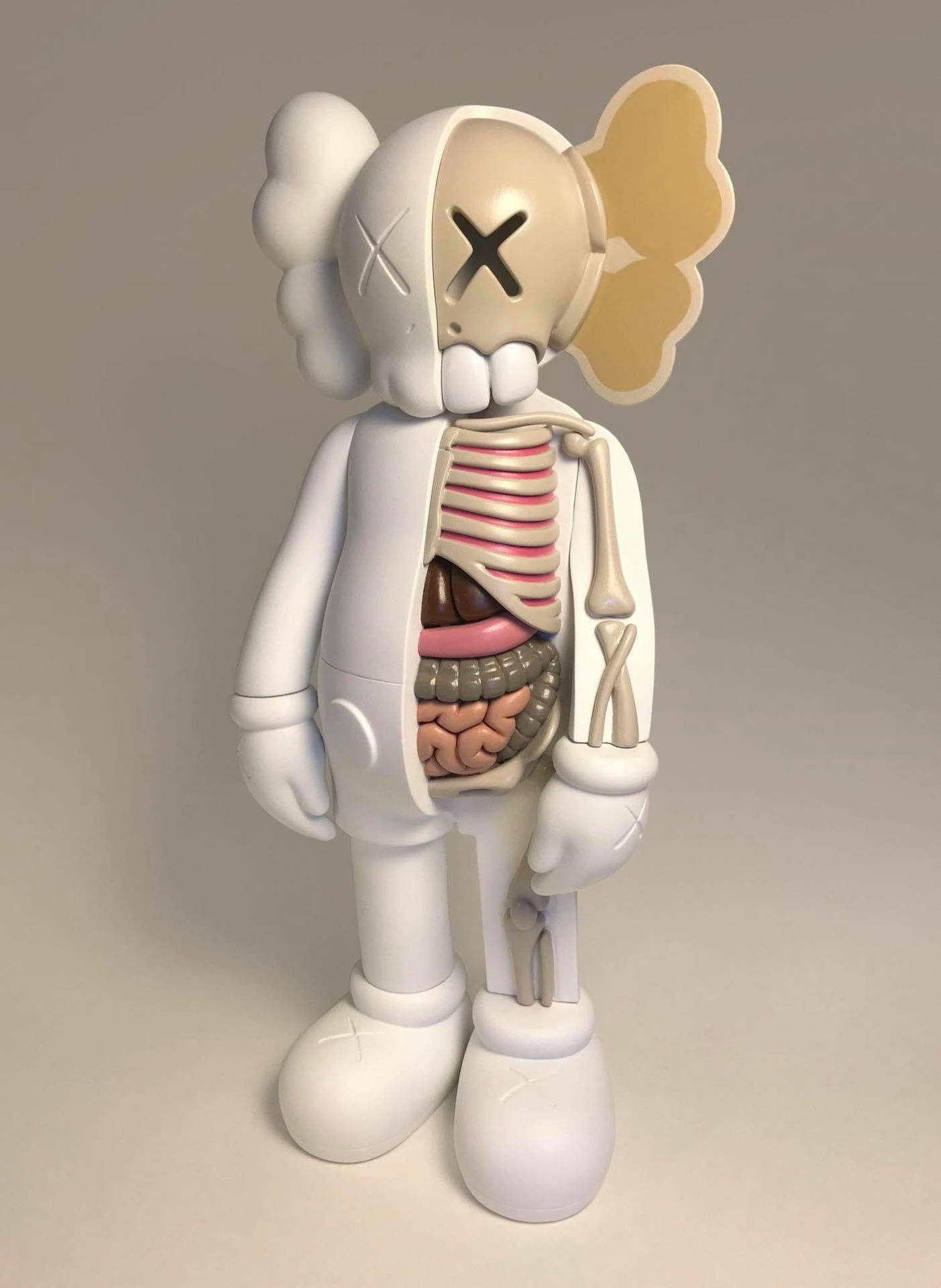 White Kaws Dissected Companion Background