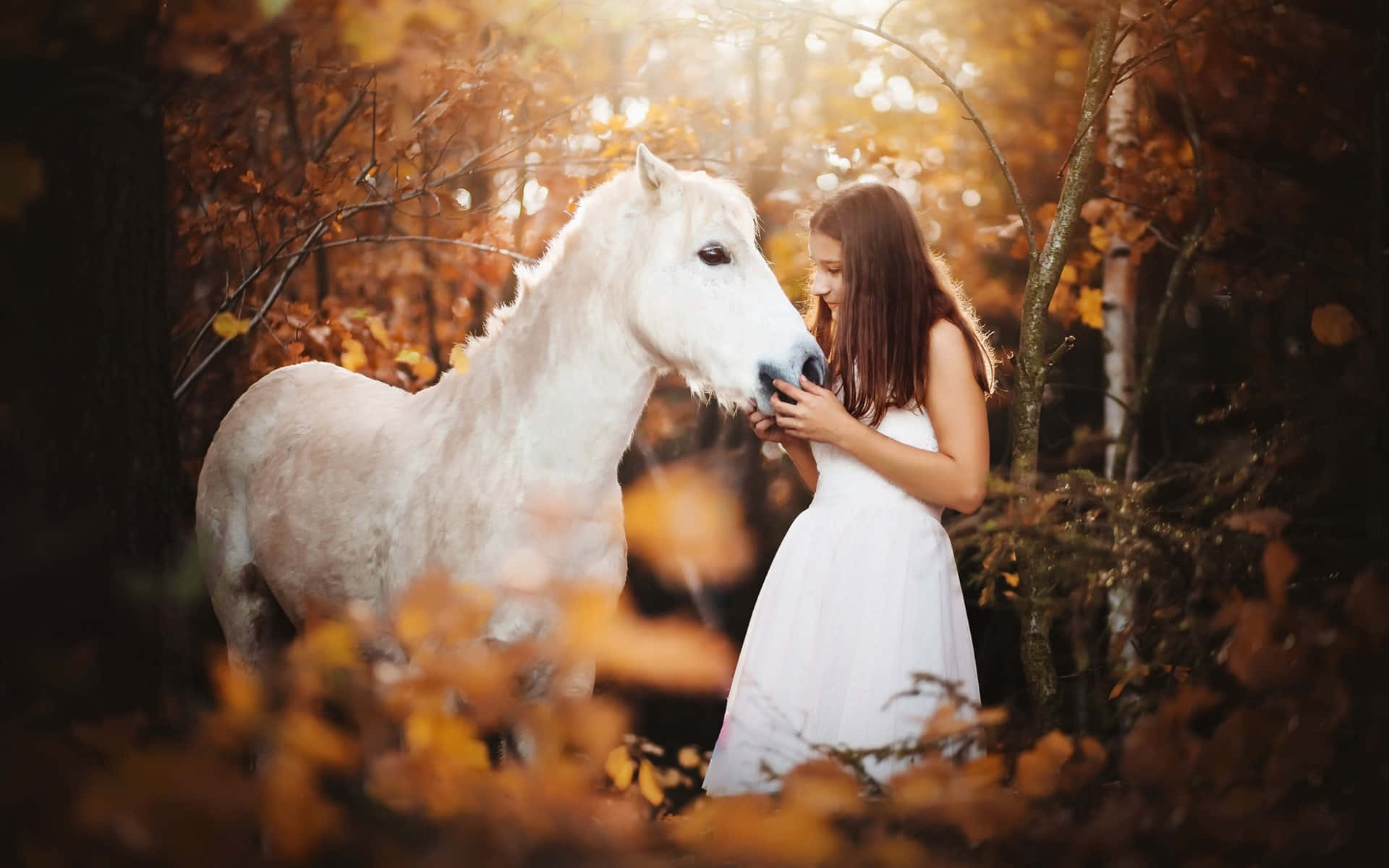 White Lady And Horse Background