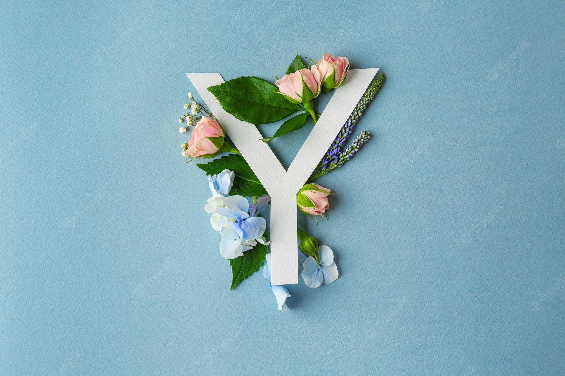 White Letter Y With Flowers Background