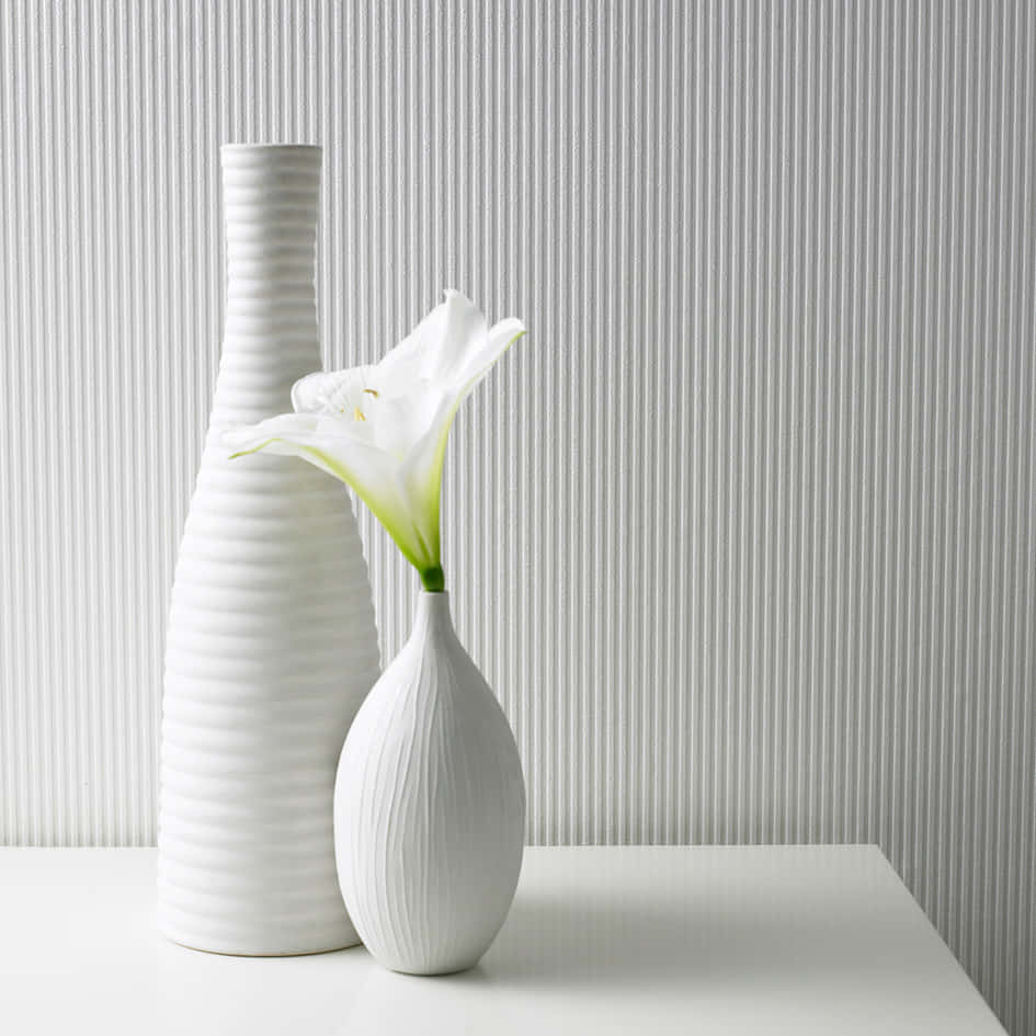 White Lily Vase Still Life Background