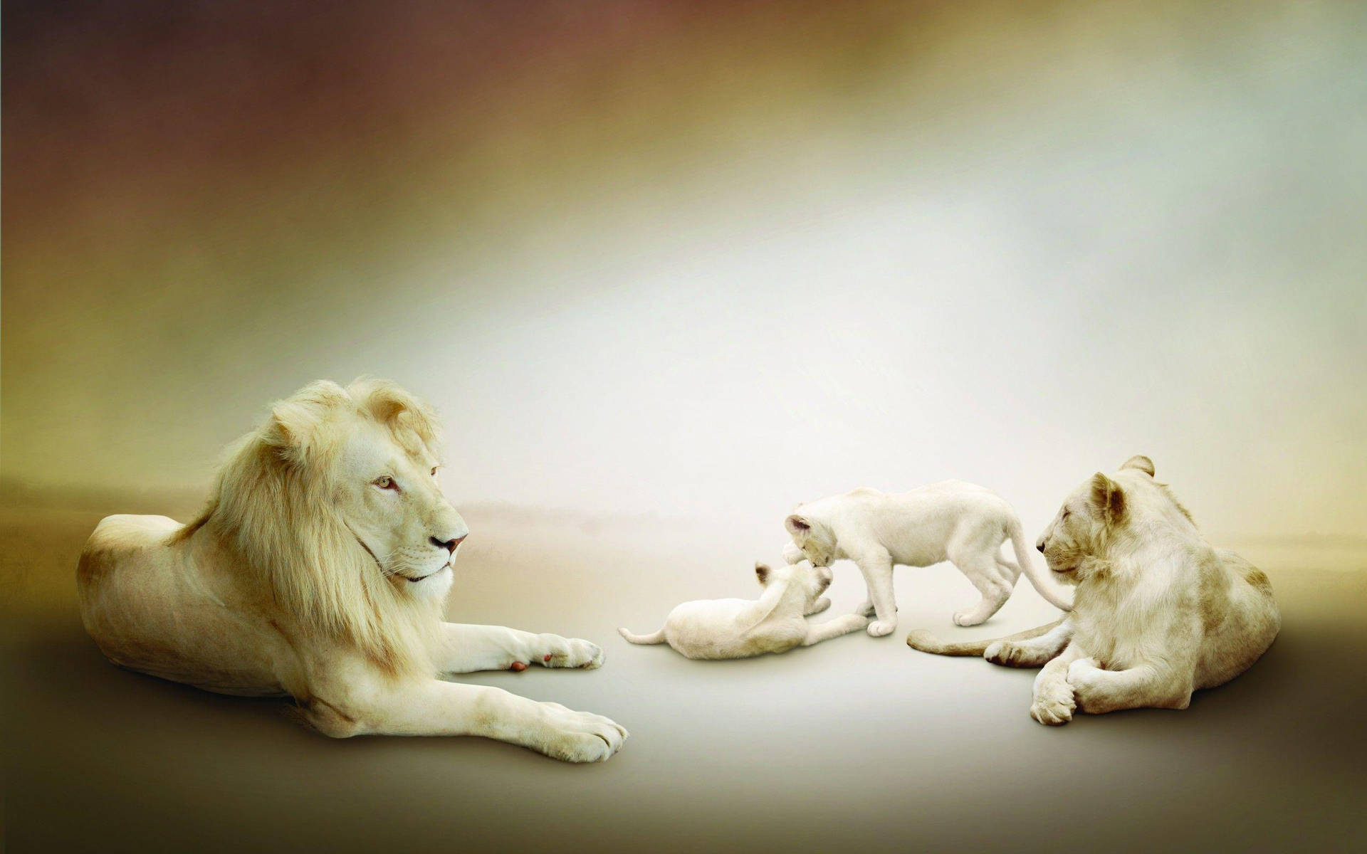 White Lion Family Background