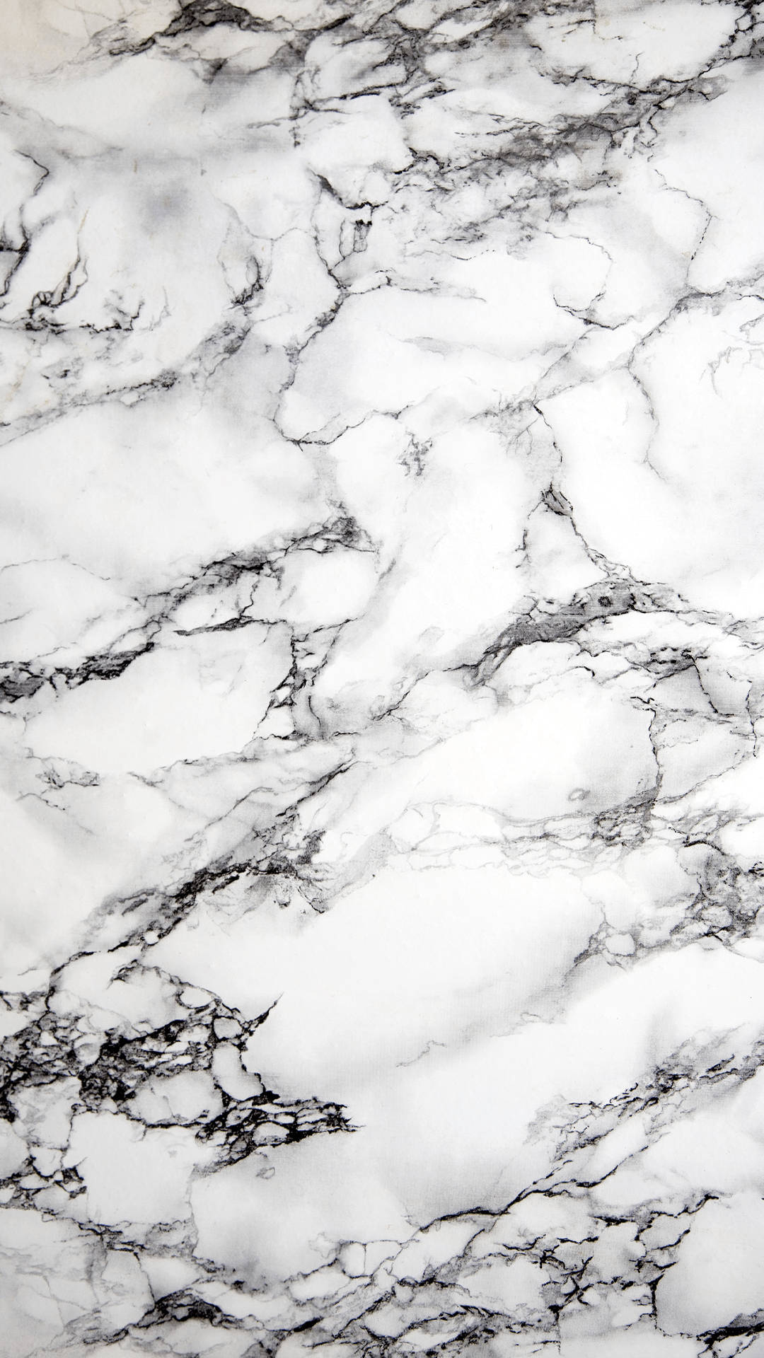 White Marble In Portrait Background