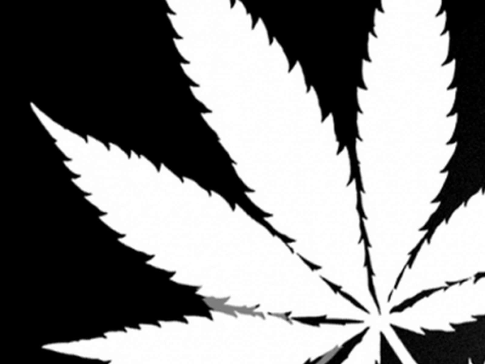 White Marijuana Leaf On Black
