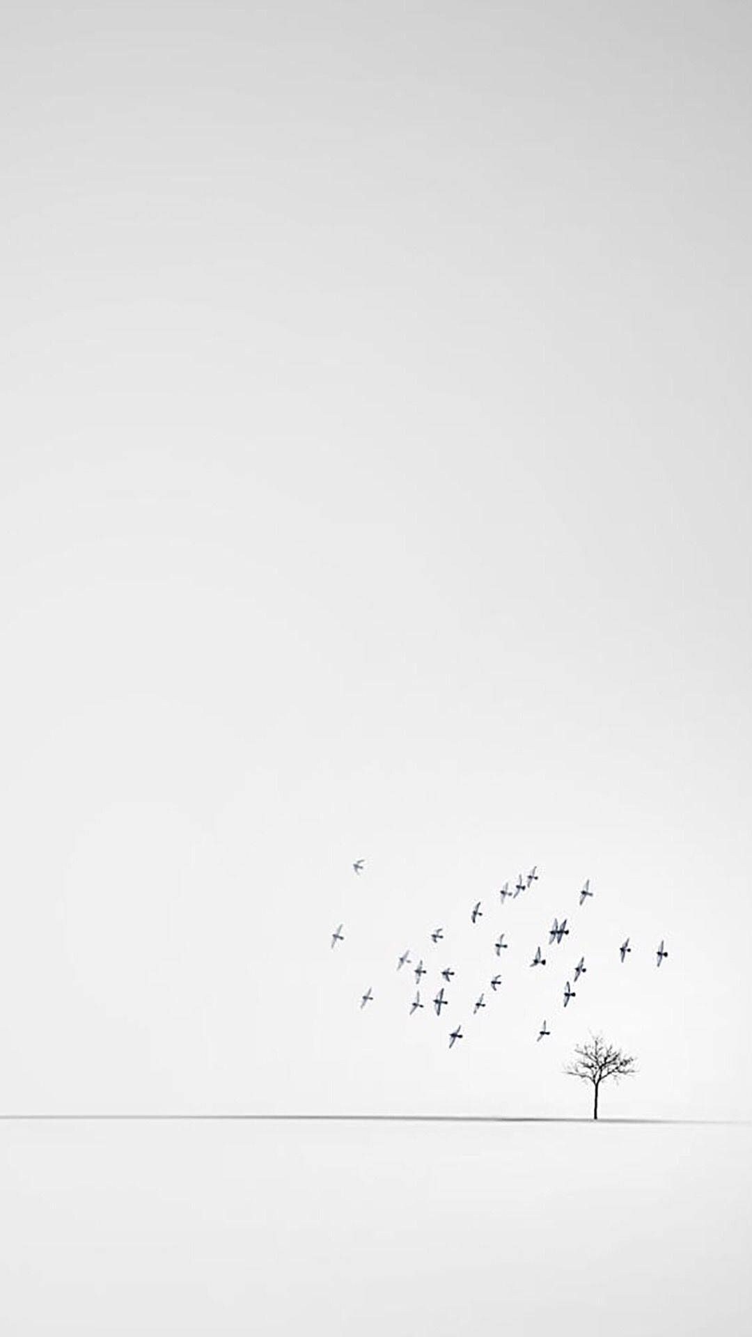 White Minimalist Avian Flock Background