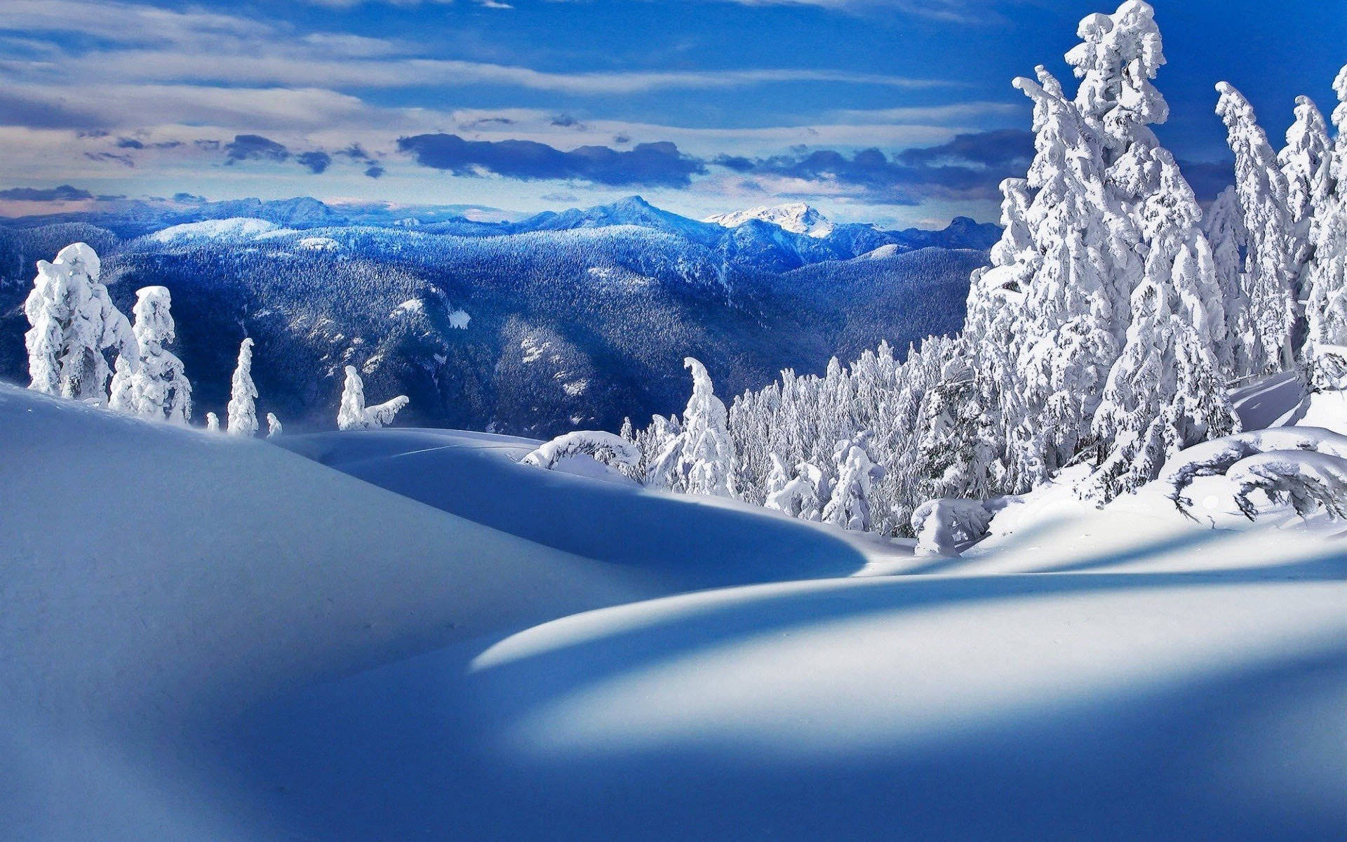 White Mountains Winter Scenery Background