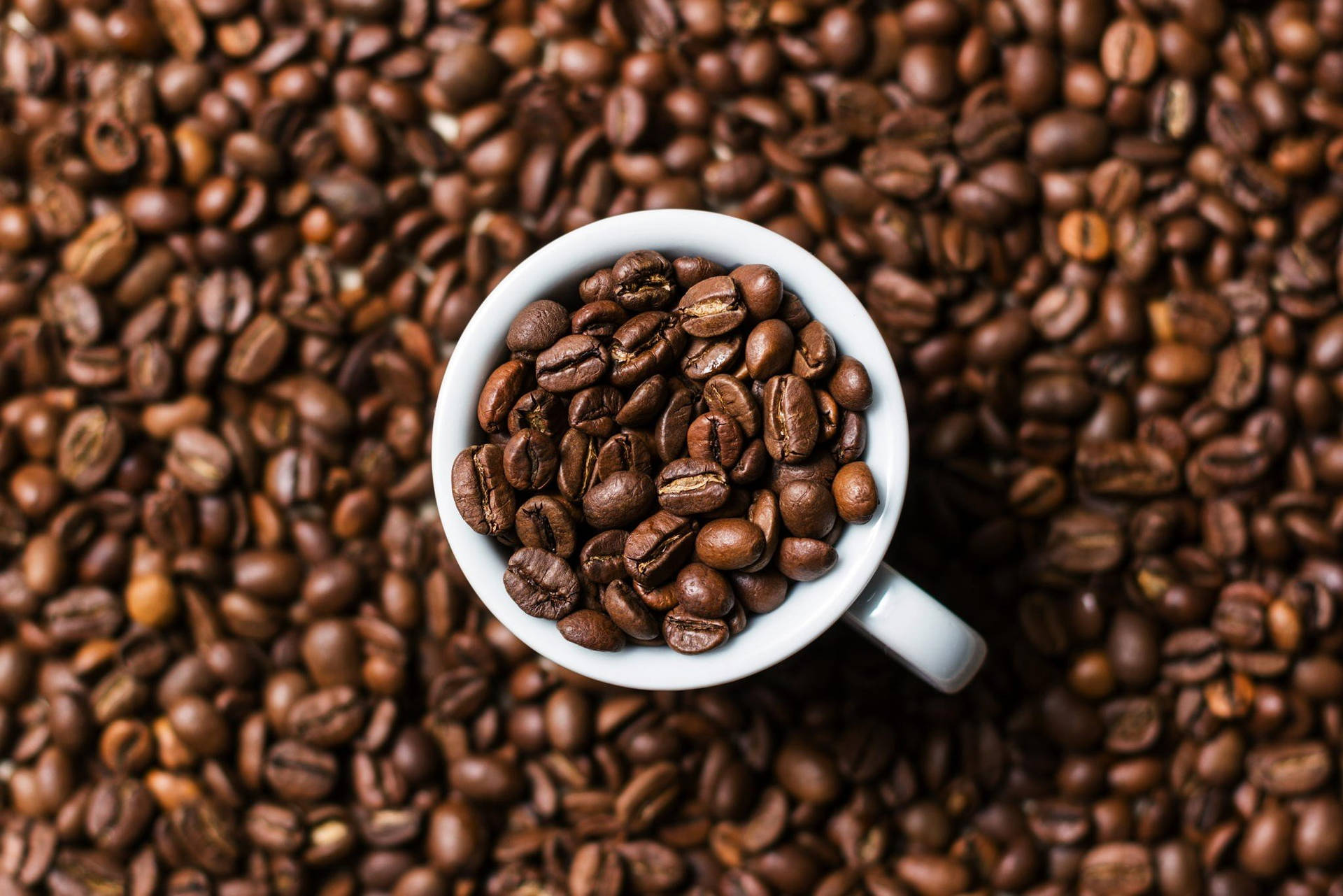 White Mug Filled With Coffee Beans Background