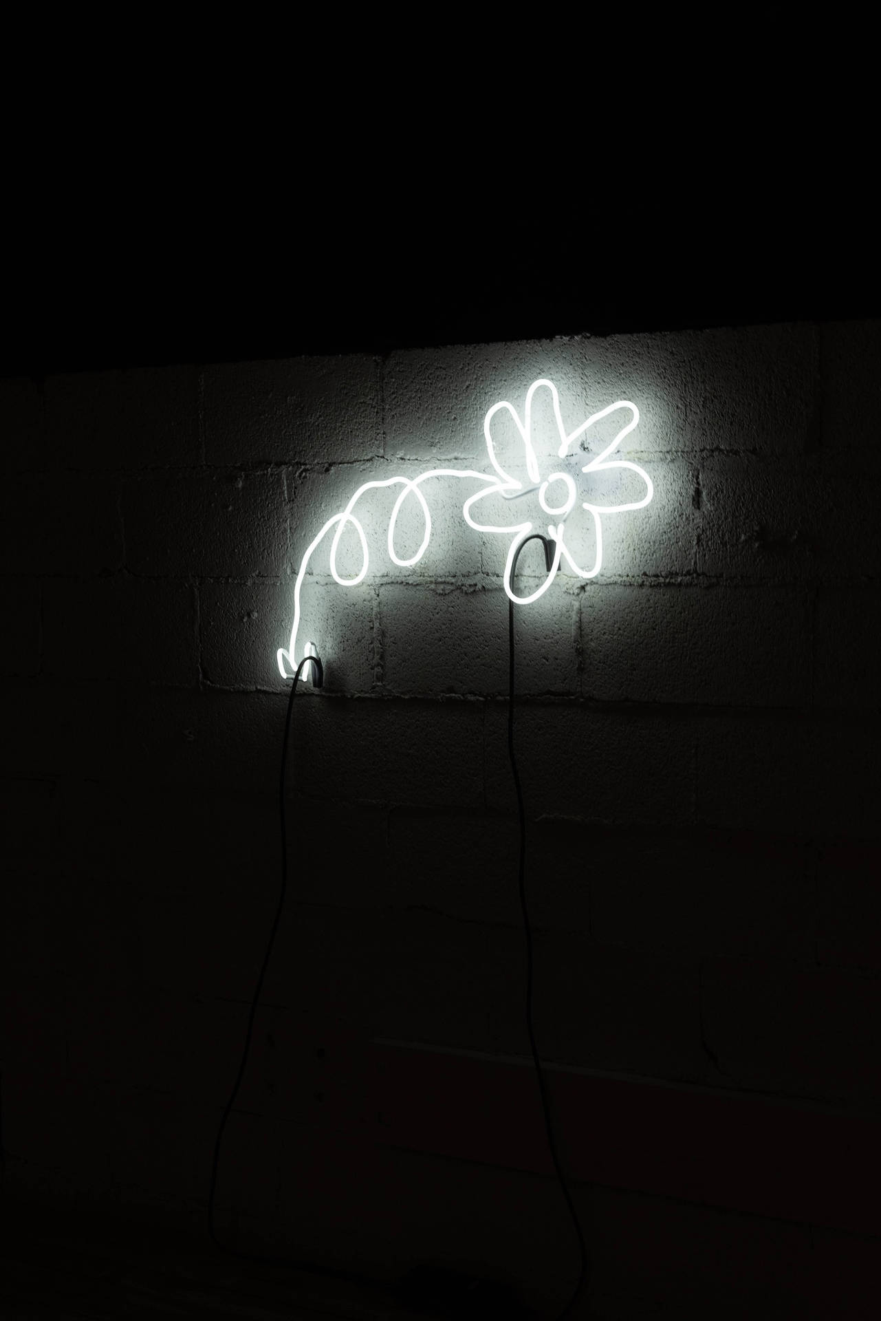 White Neon Aesthetic Flower