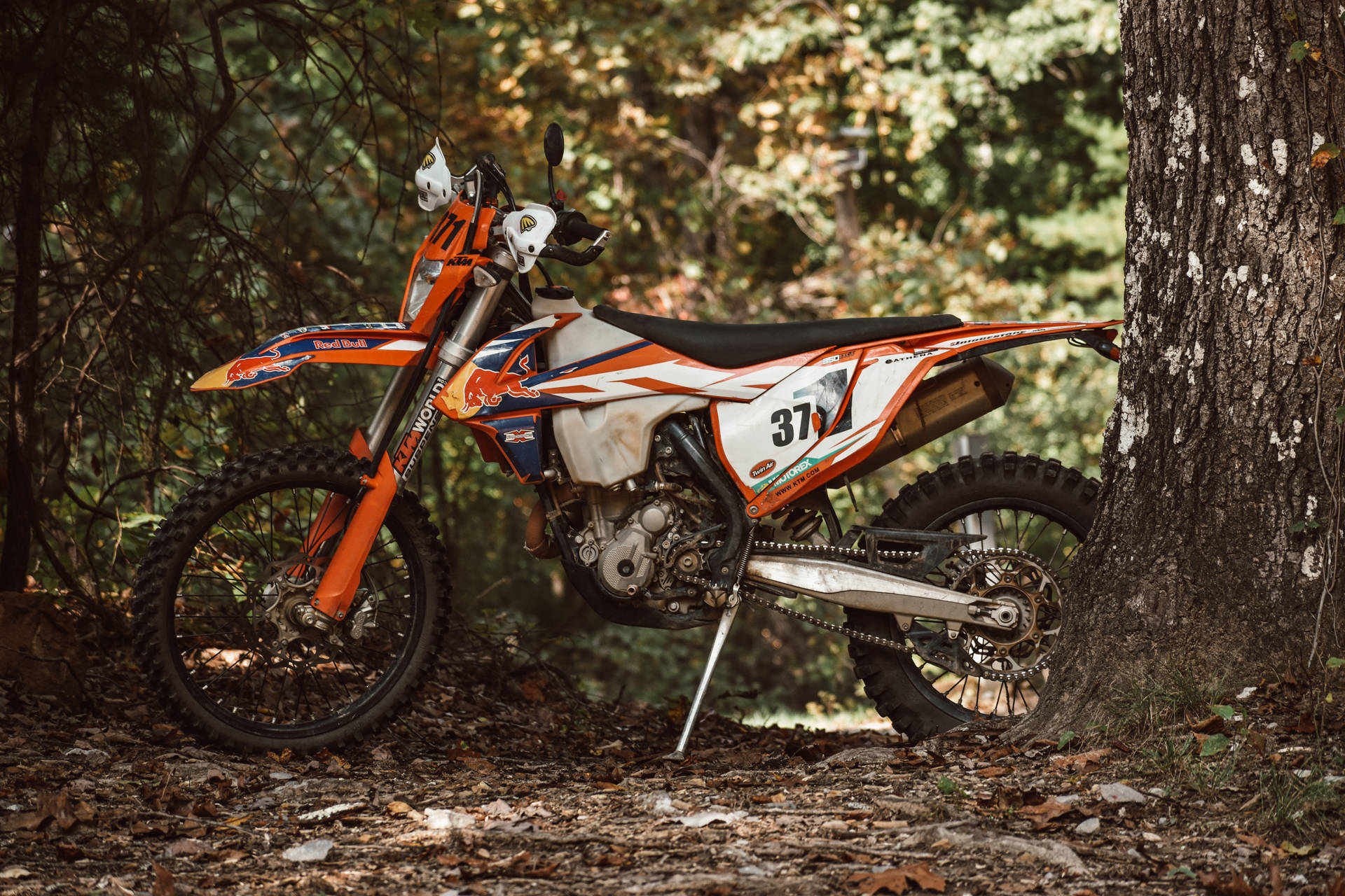 White Orange Duke 125 Ktm Bike Background