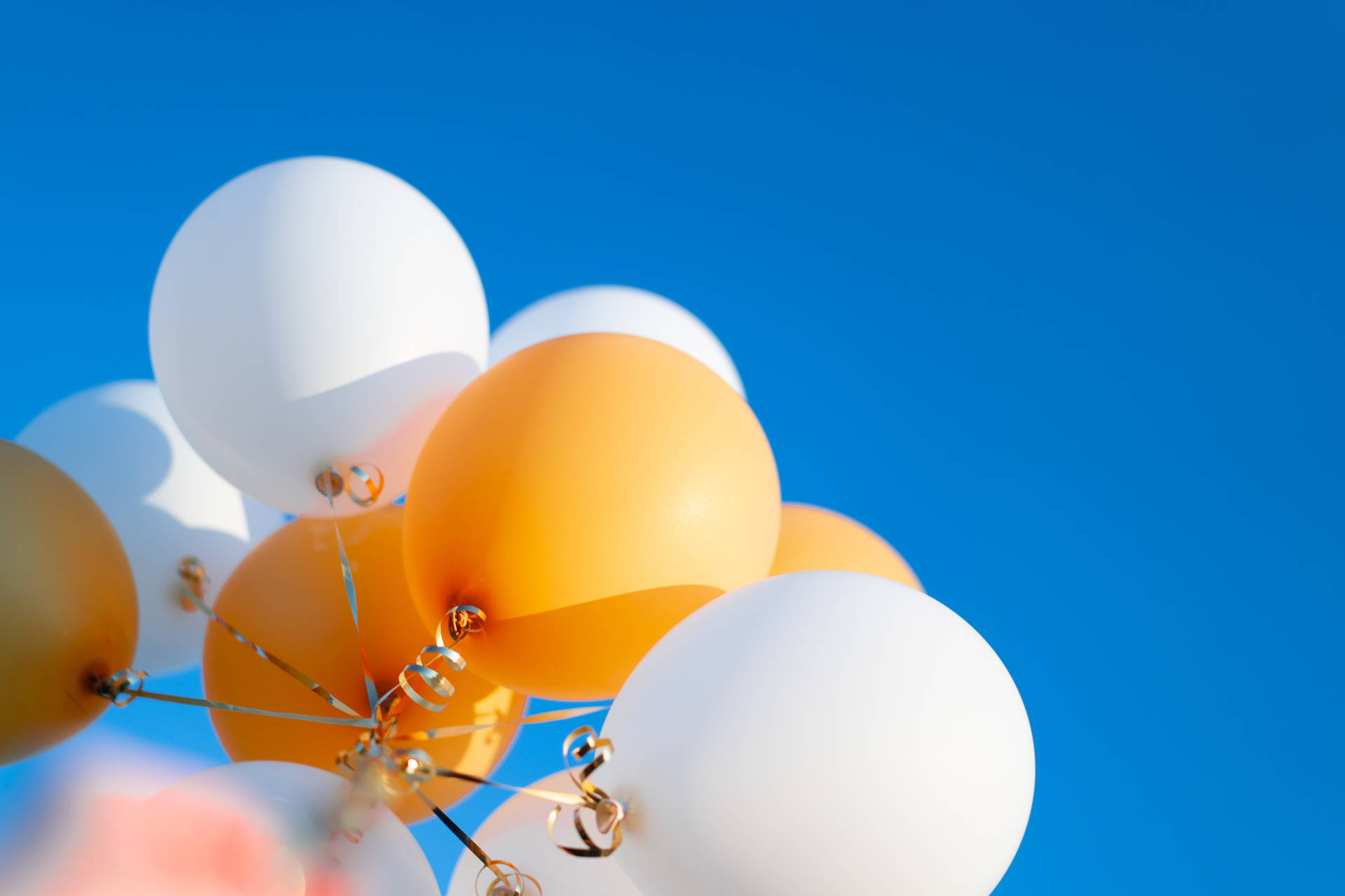 White Orange Tied Up Balloons Background