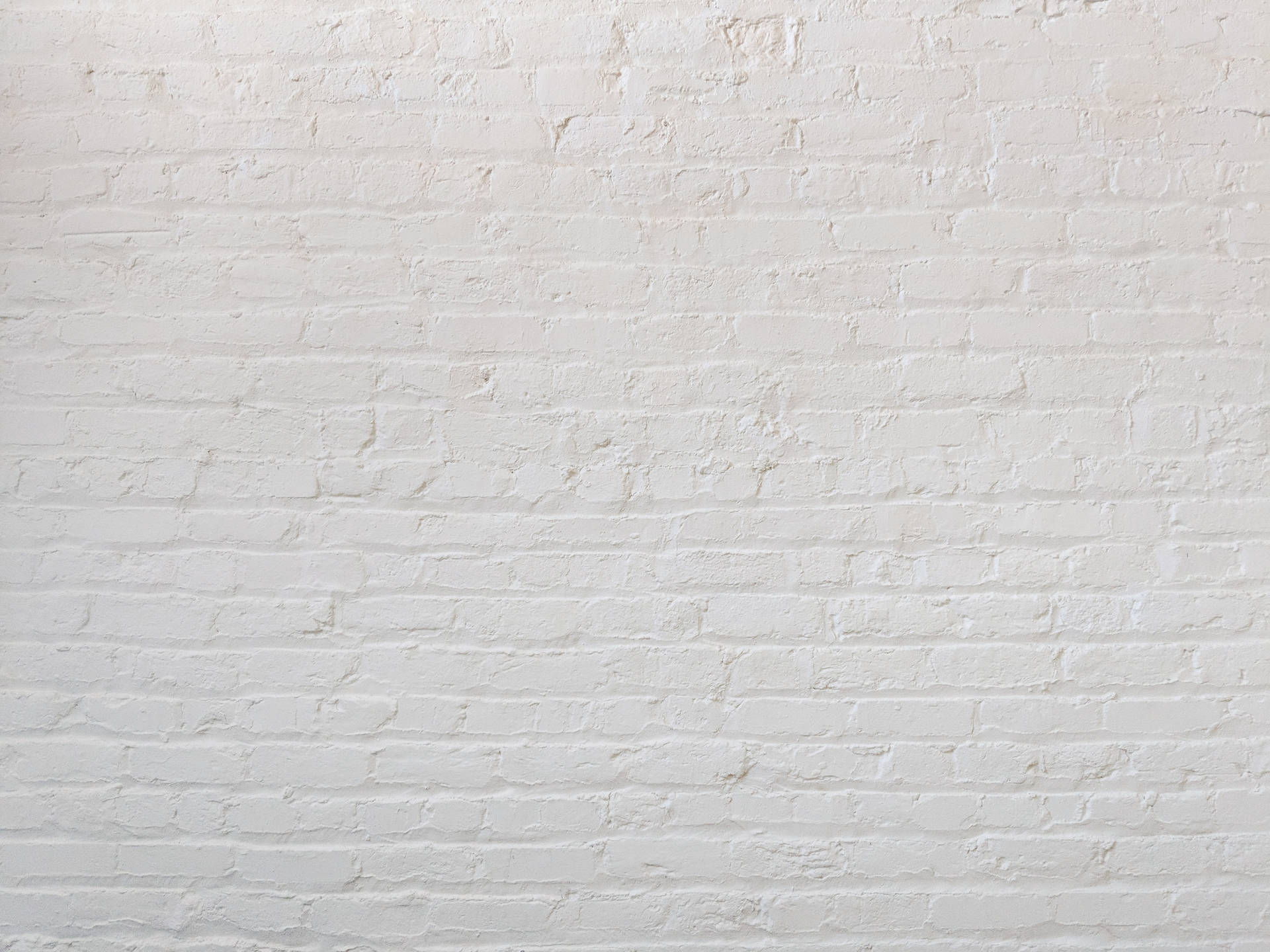 White Pattern Brick Flemish Bond Background