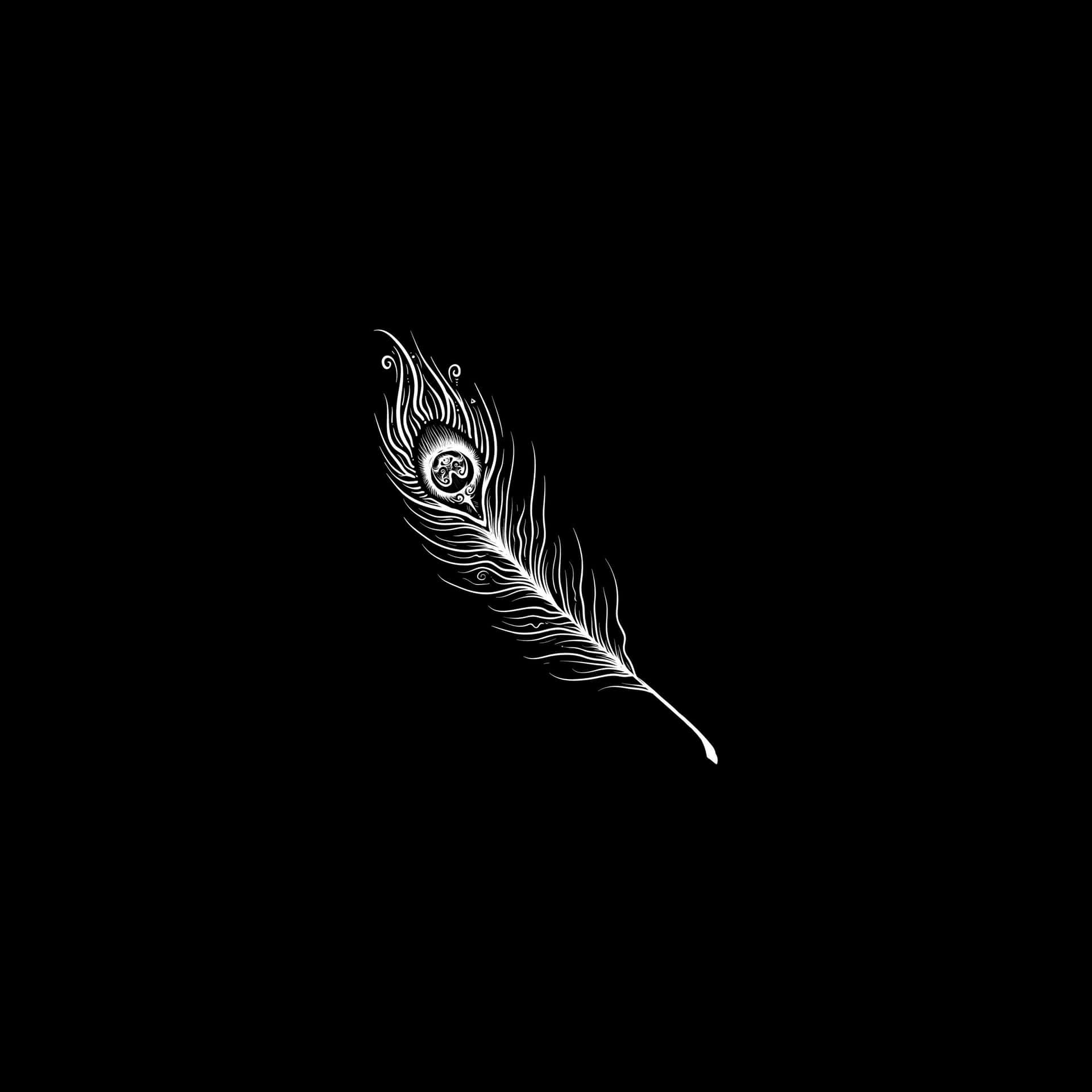 White Peacock Feather Dark Ipad Background