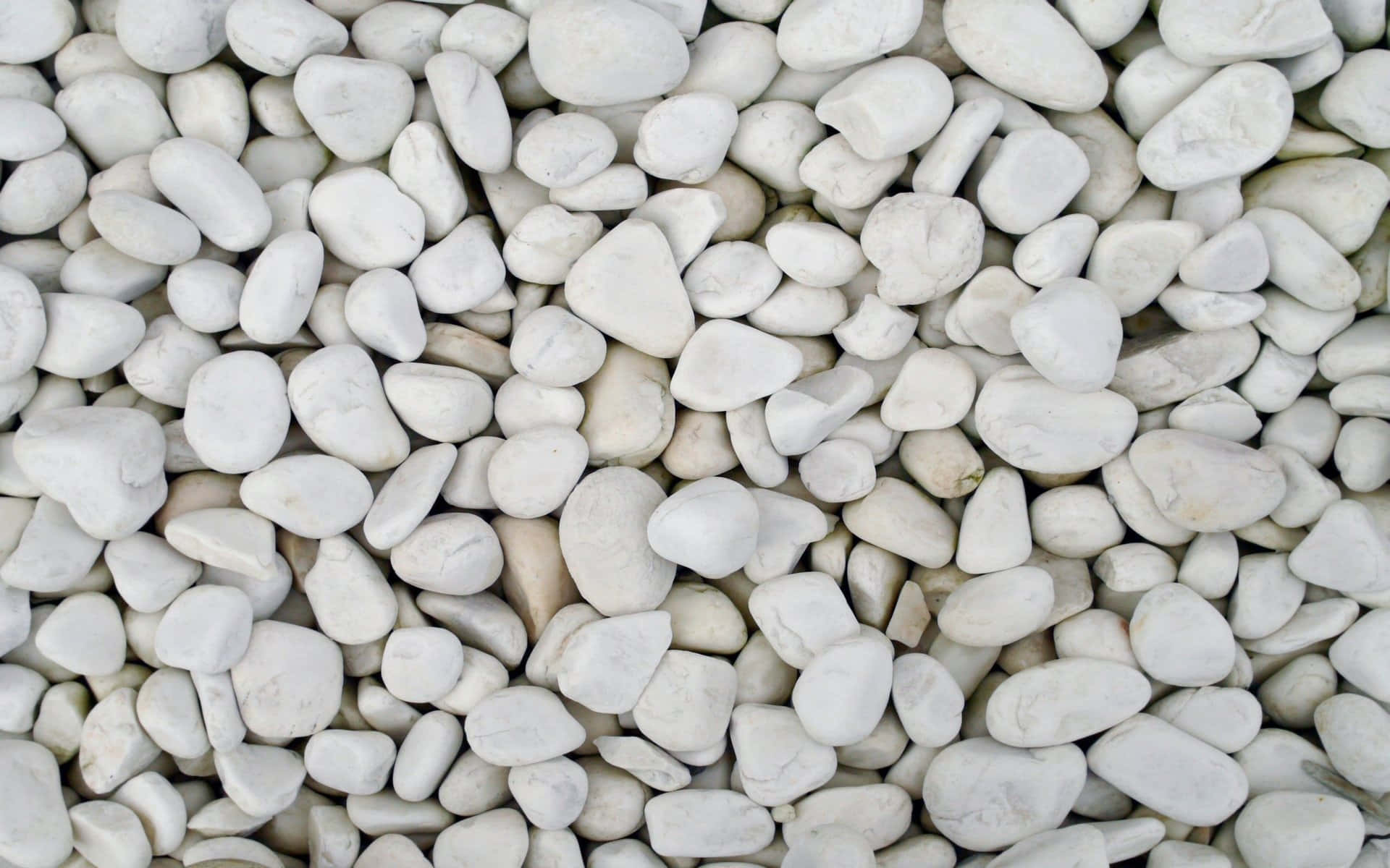 White Pebble Rocks Gravel Stones