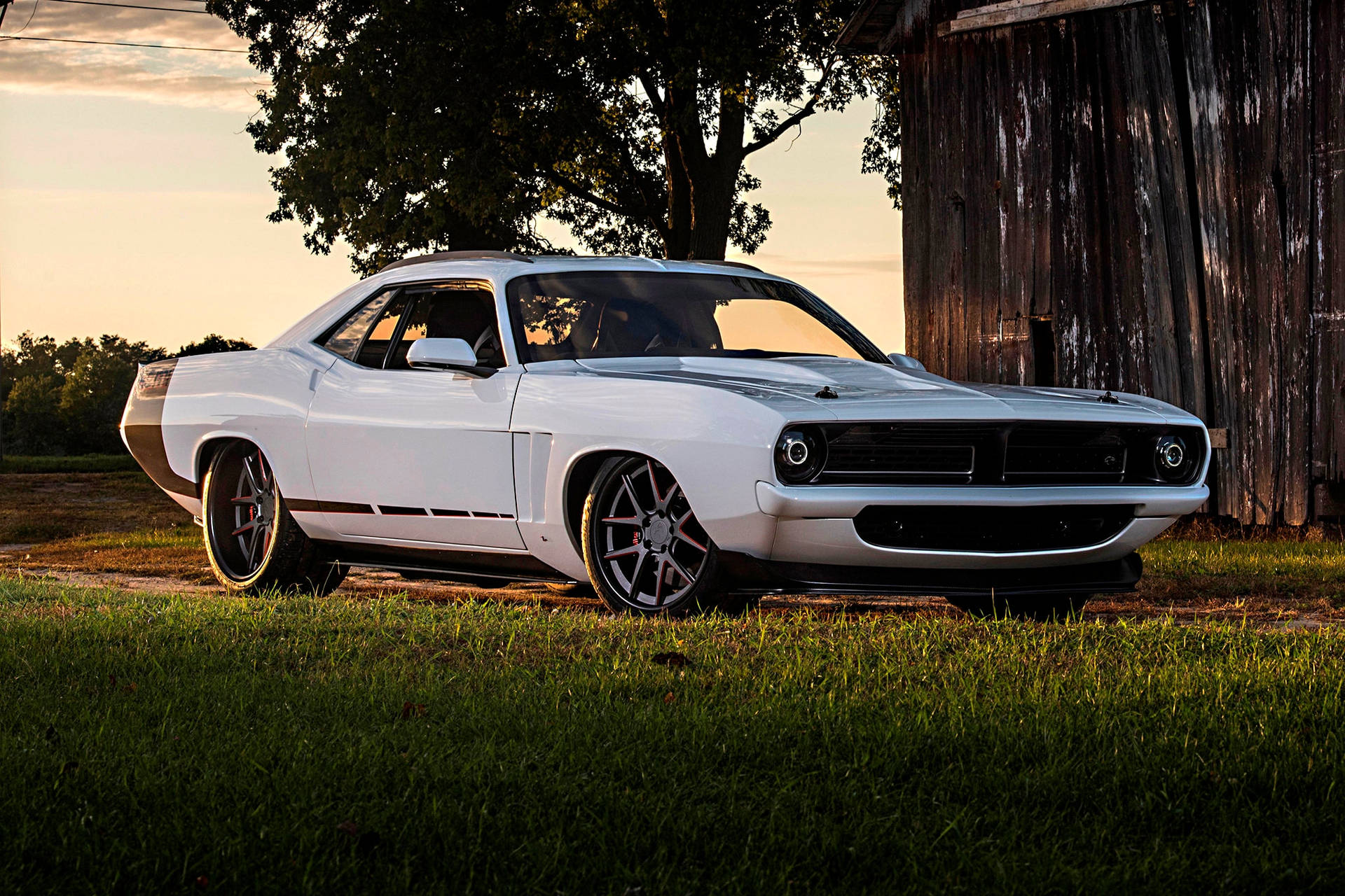White Plymouth Barracuda Background