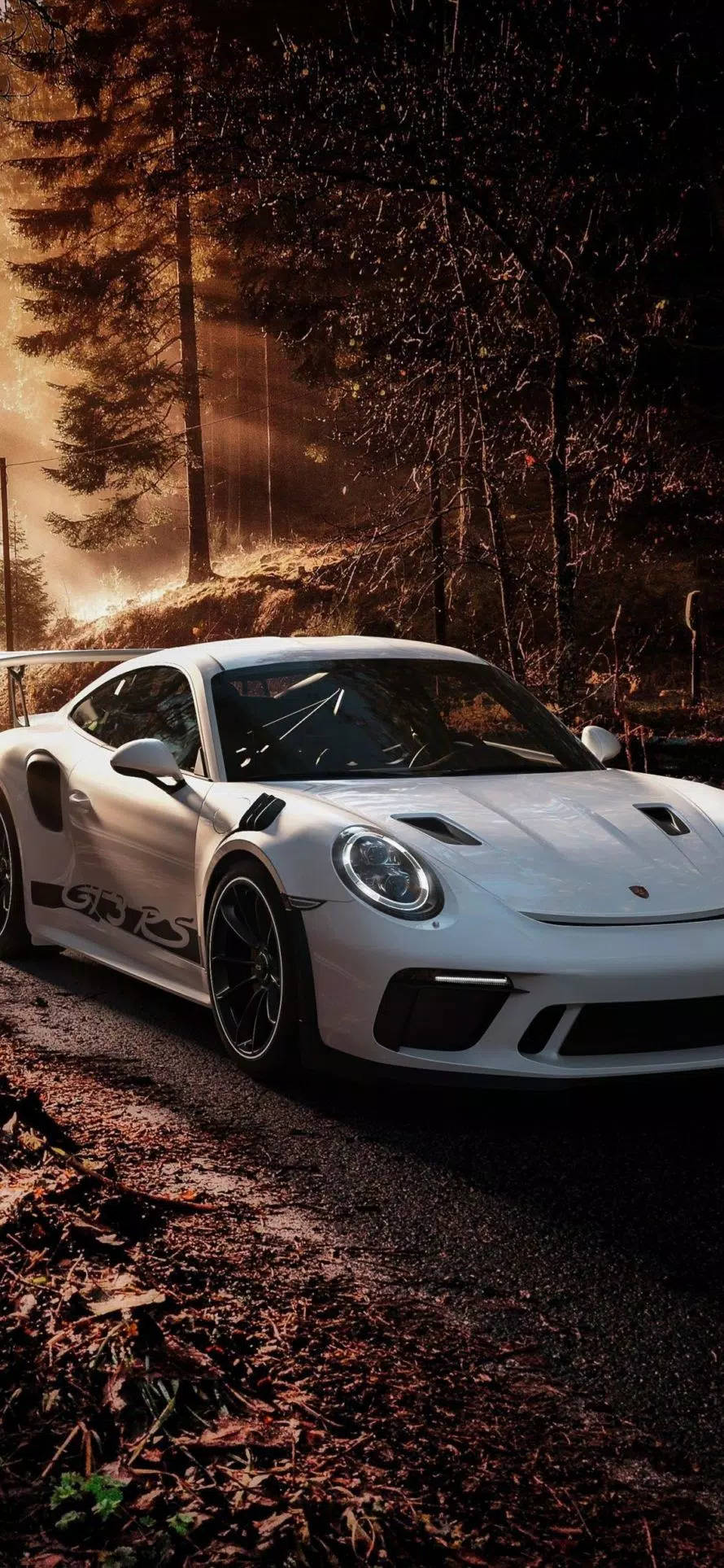 White Porsche 911 In The Forest