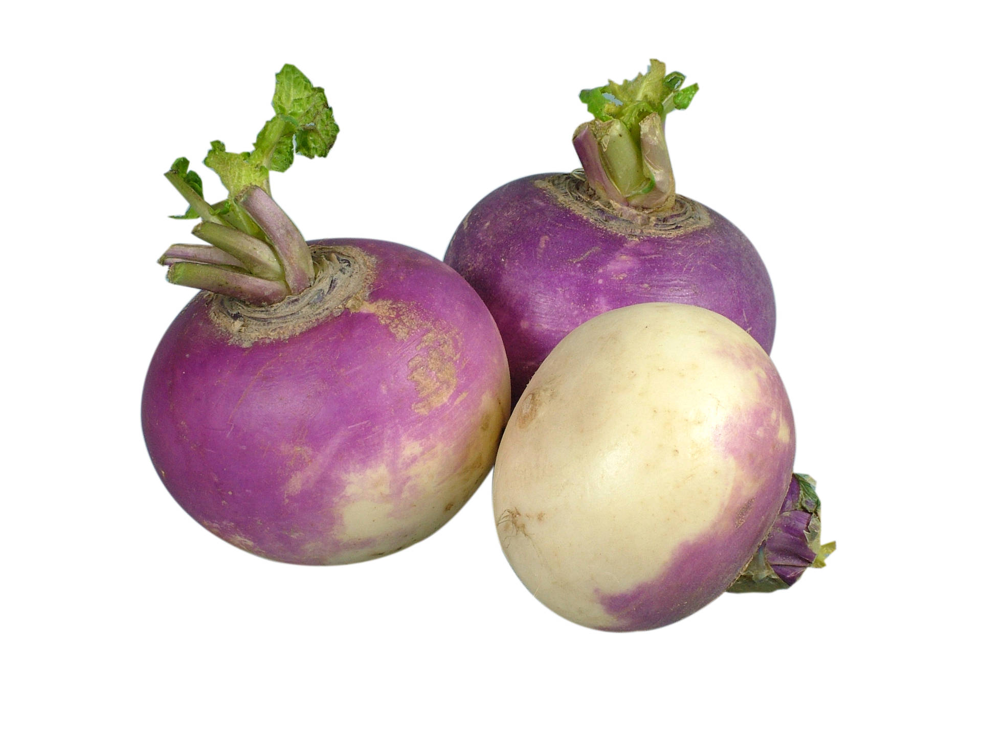 White Purple Turnips Background