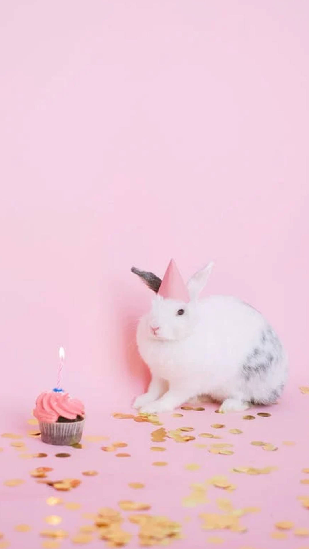 White Rabbit Birthday Background