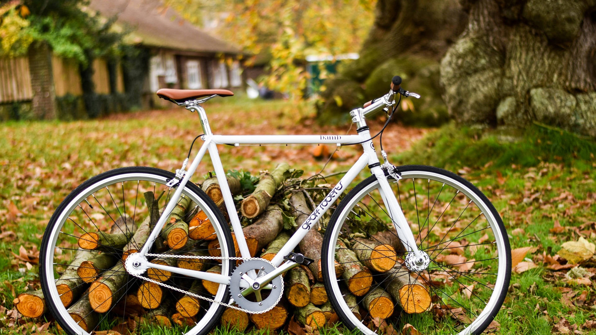 White Road Bike And Chopped Wood Background