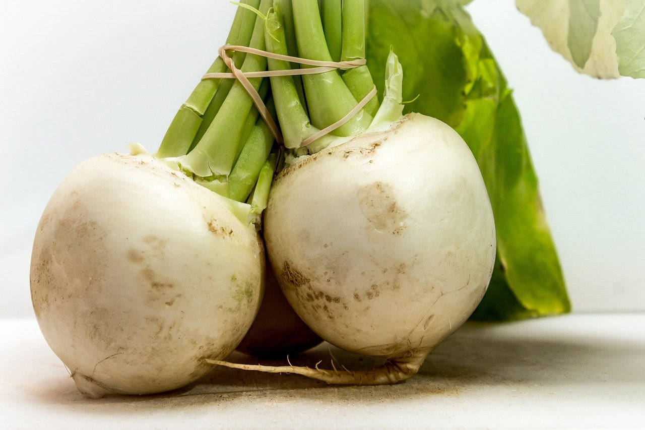 White Root Crop Turnips Background