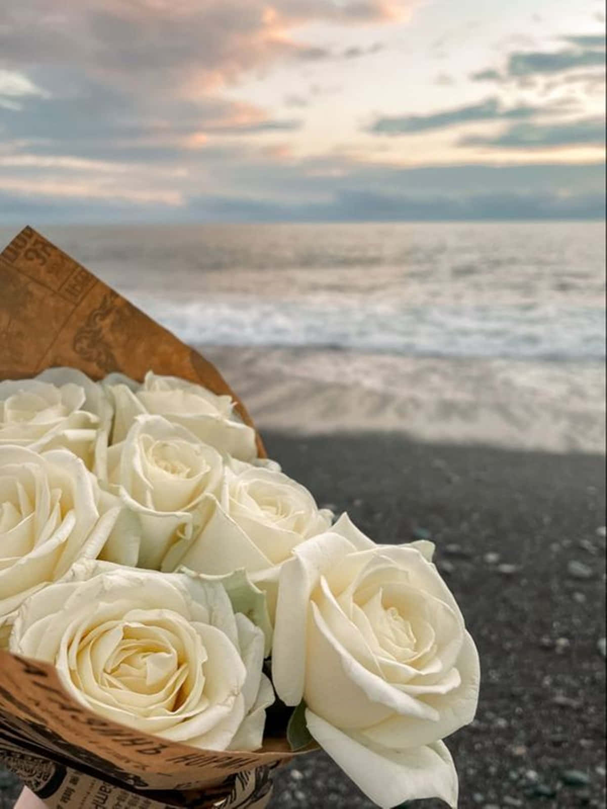 White Rose Aesthetic Bouquet Sunset Beach Background