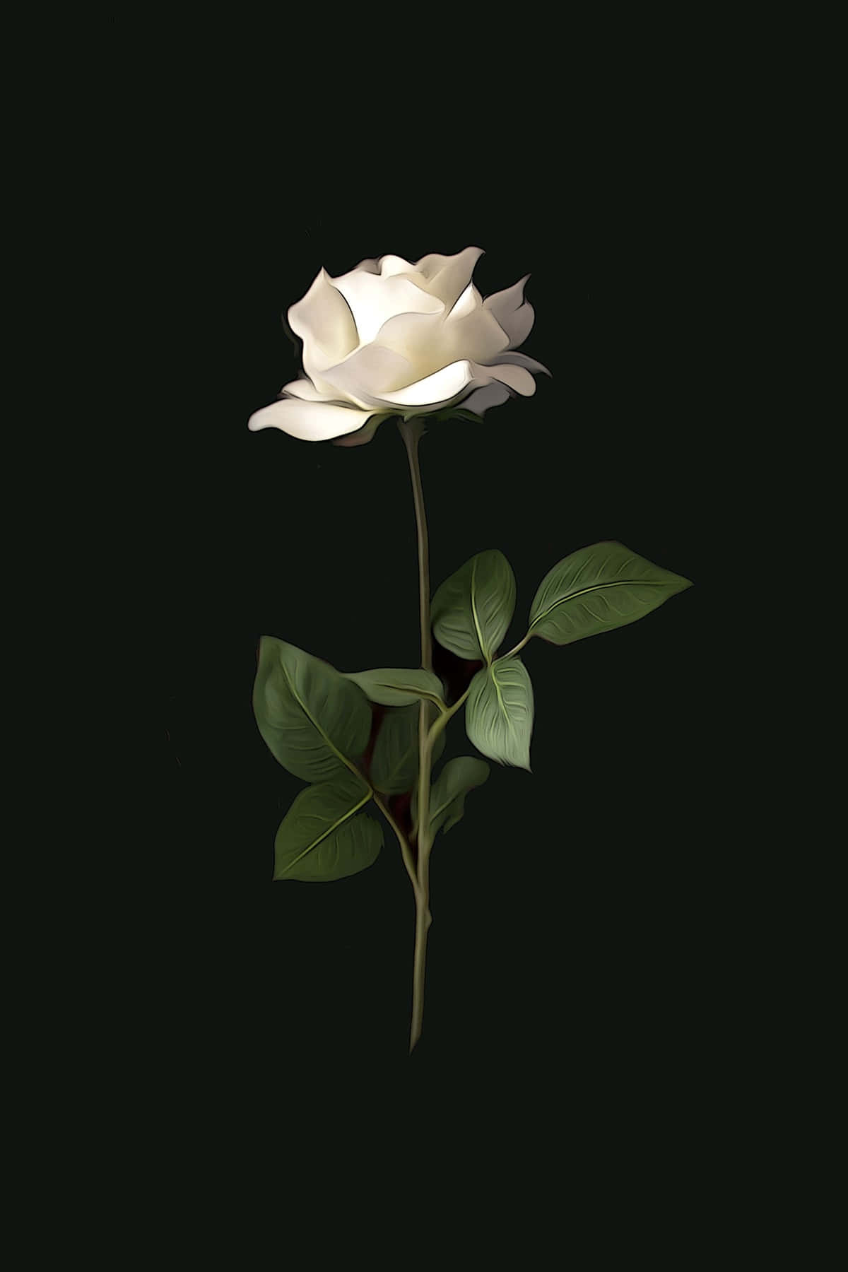 White Rose Aesthetic Digital Illustration