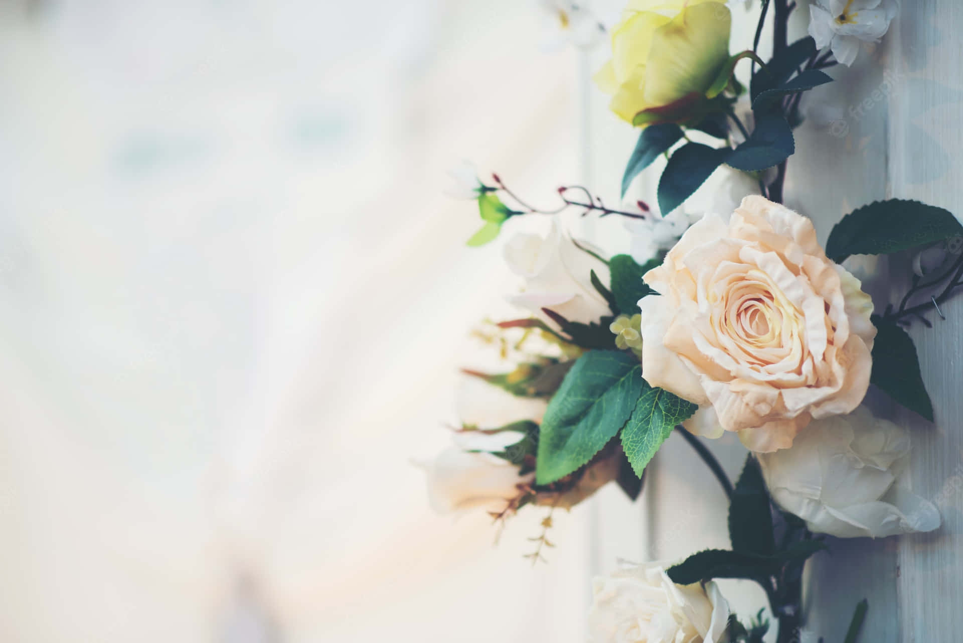 White Rose Wedding Background Landscape