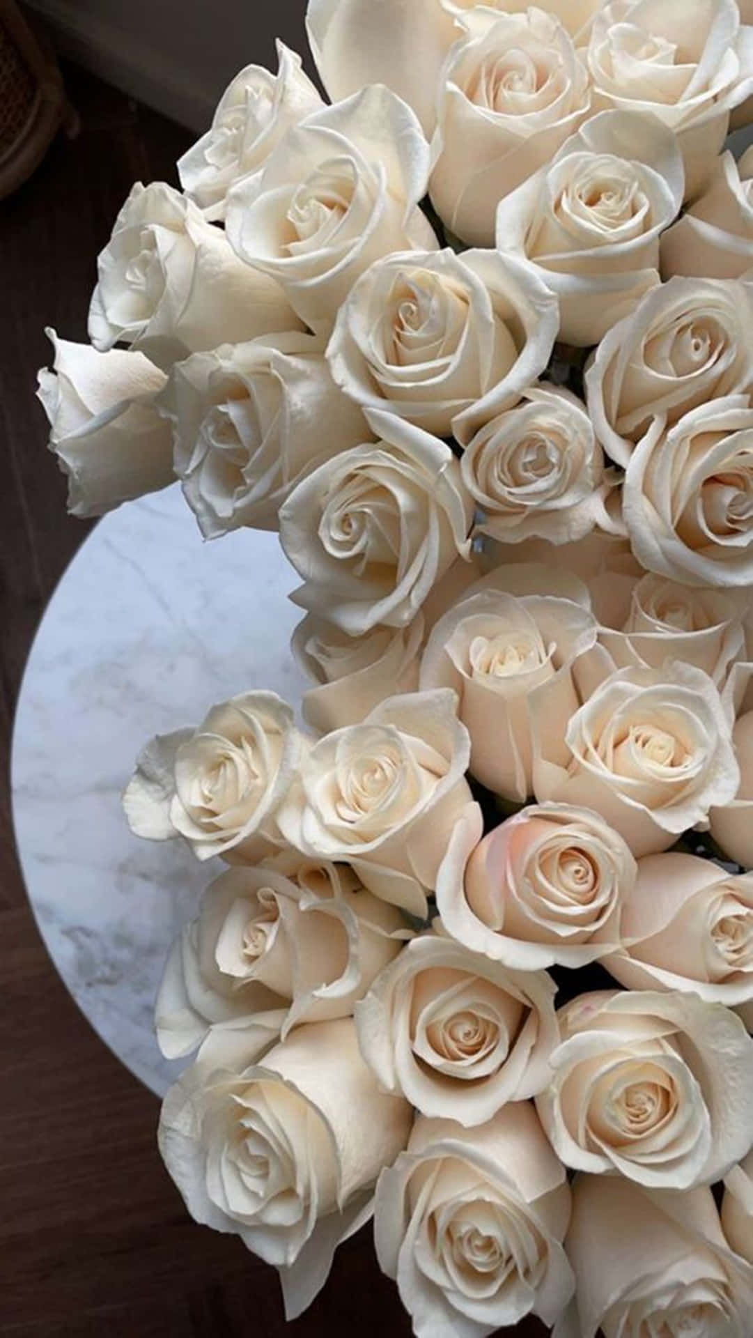 White Roses Aesthetic Flowers Photograph