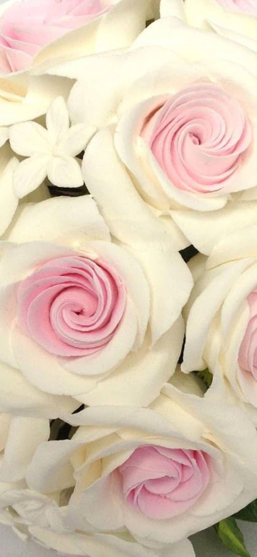 White Roses For Flower Phone Background Background