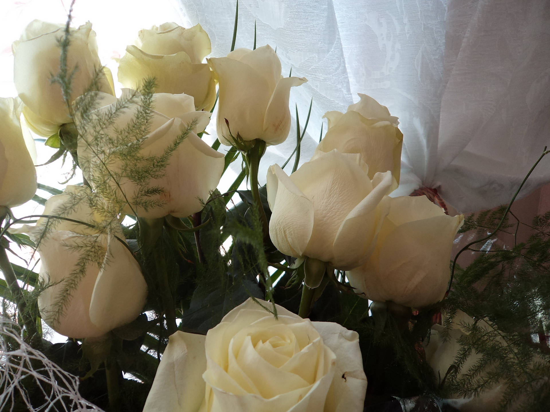 White Roses In A Vase Background