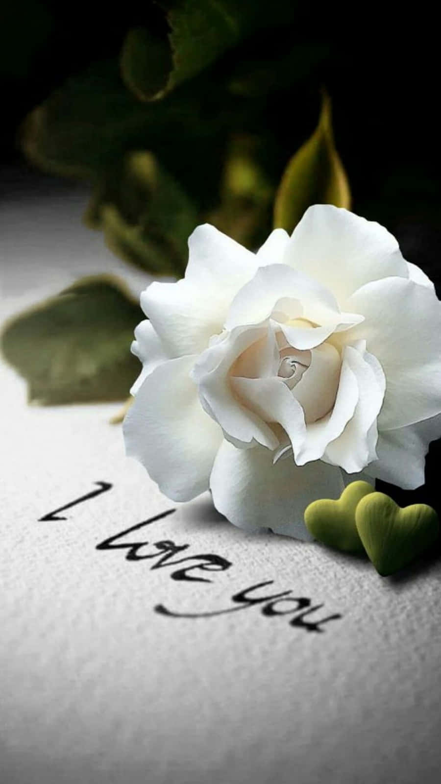 White Roses Iphone I Love You Background