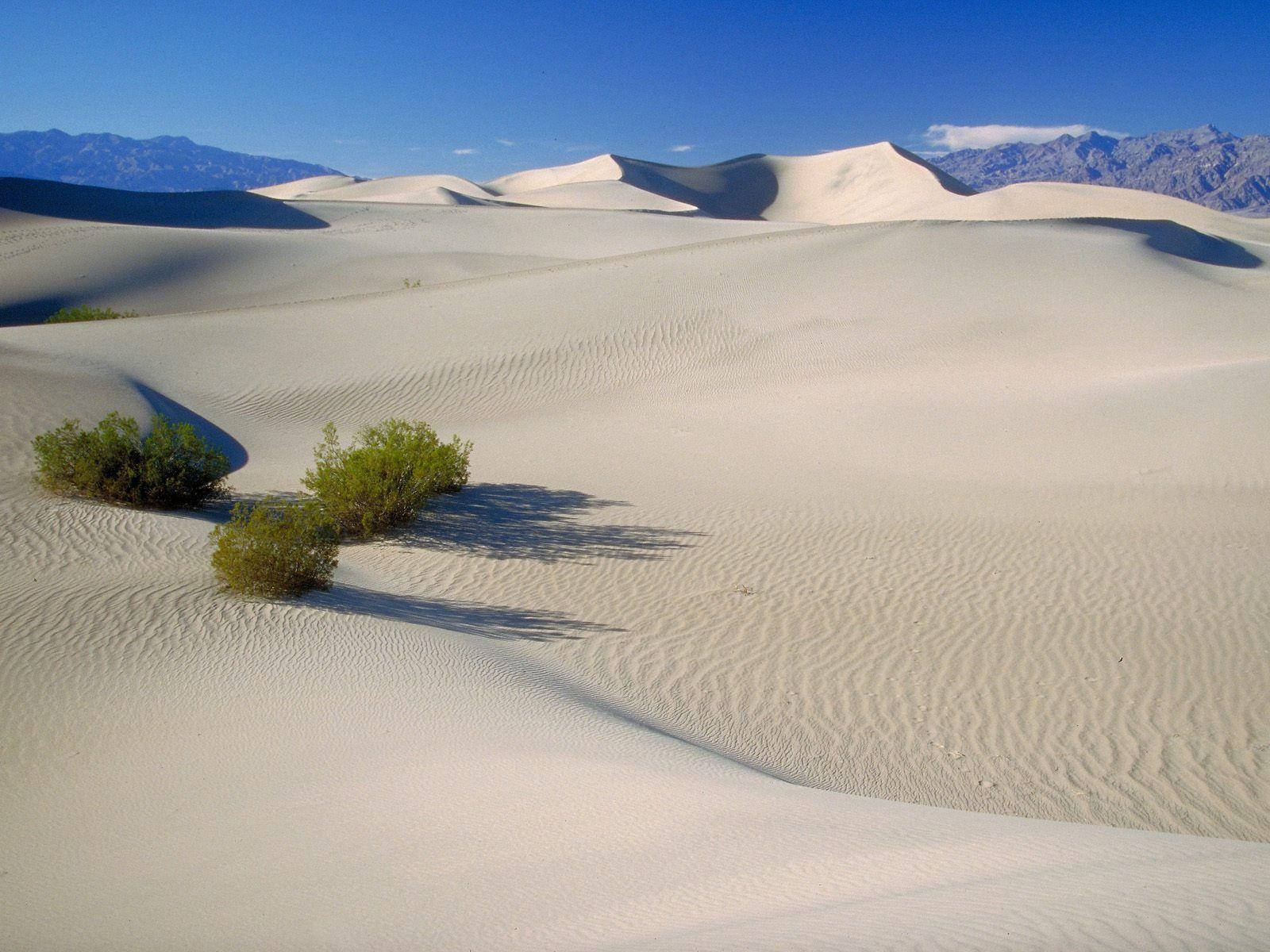 White Sand Dunes Death Valley Background