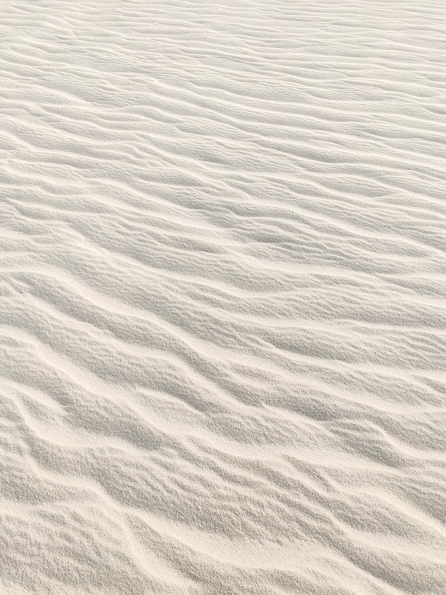 White Sand Dunes Desert