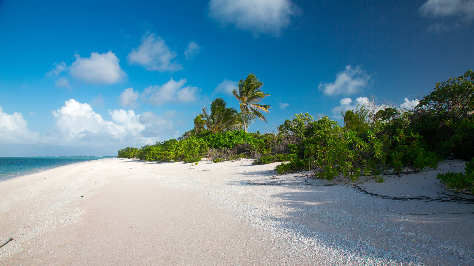 White Sandy Beach In Marshall Islands Background