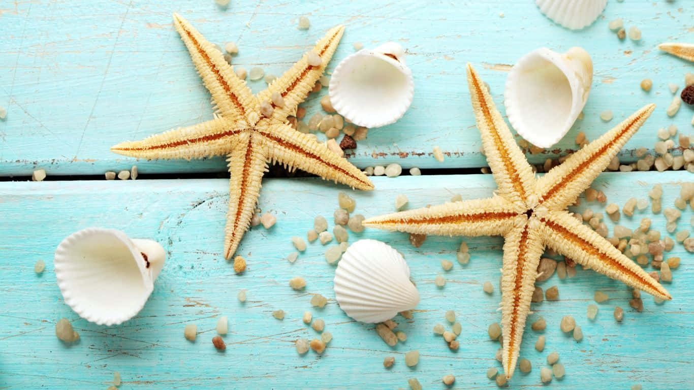 White Seashells And Yellow Starfishes Background