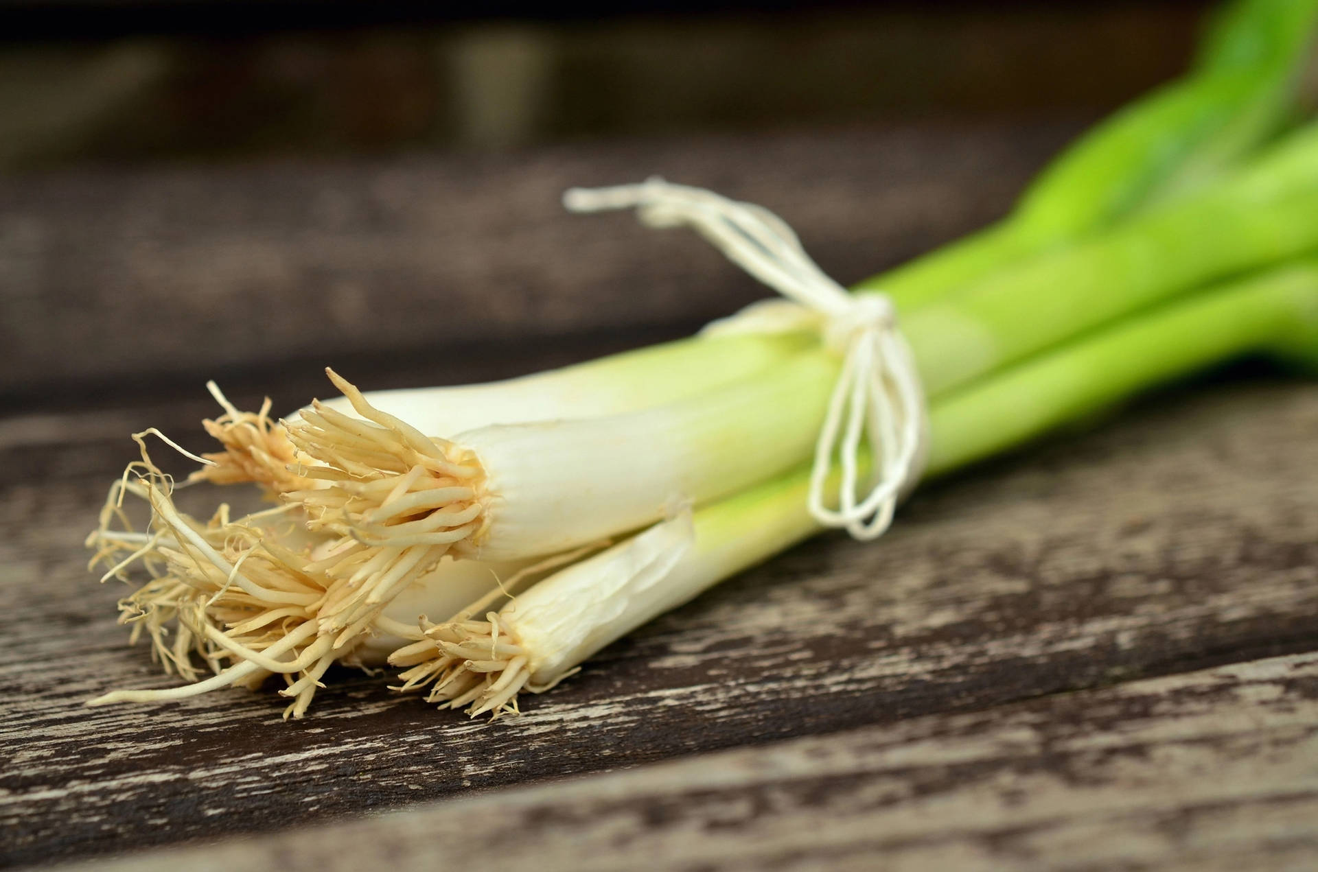 White Simple String Spring Onions Background