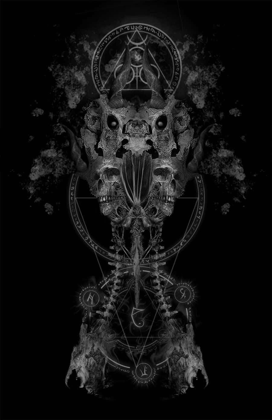 White Skull On Black Background Background