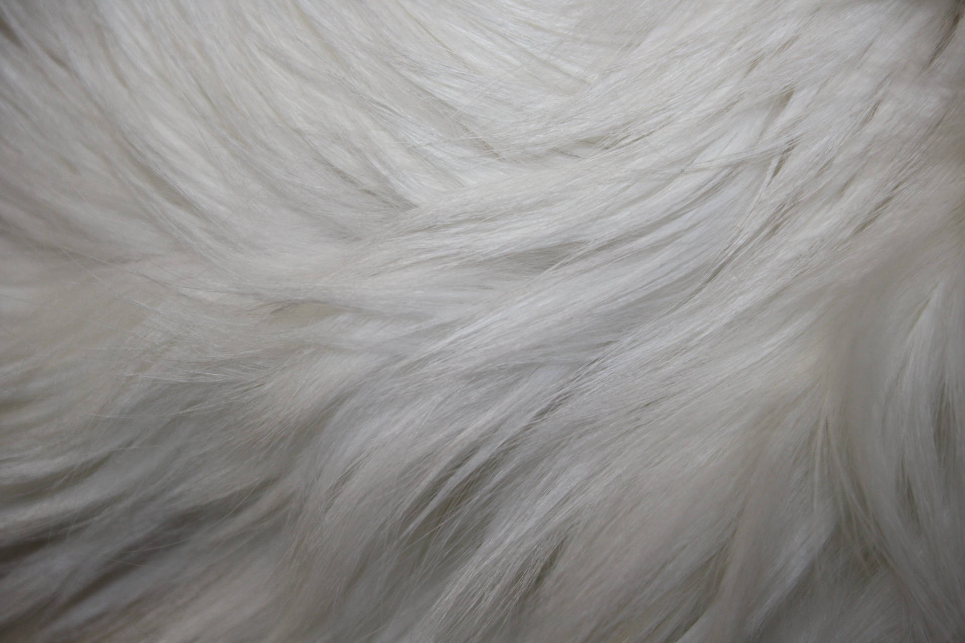White Smooth Animal Fur Background
