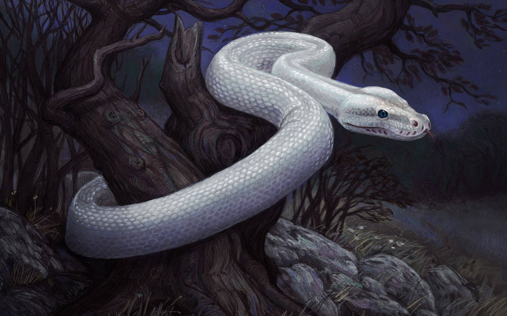 White Snake At Rocky Woods Art Background