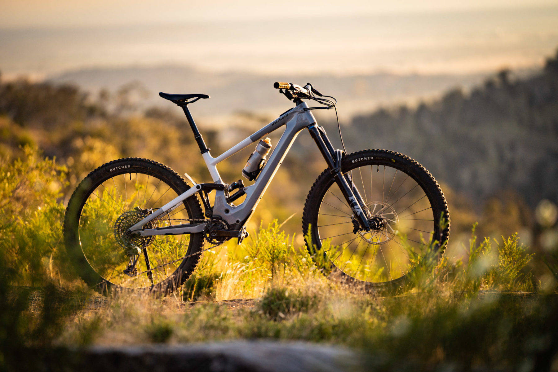 White Specialized Bike On The Grass Background