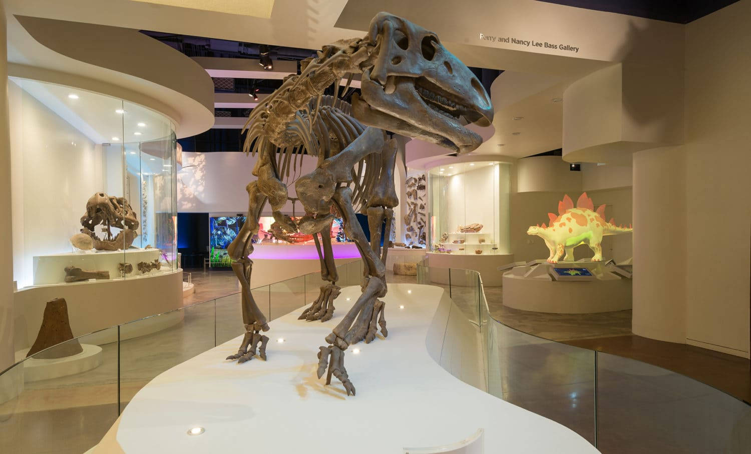 White Stegosaurus Inside Fort Worth Museum Background