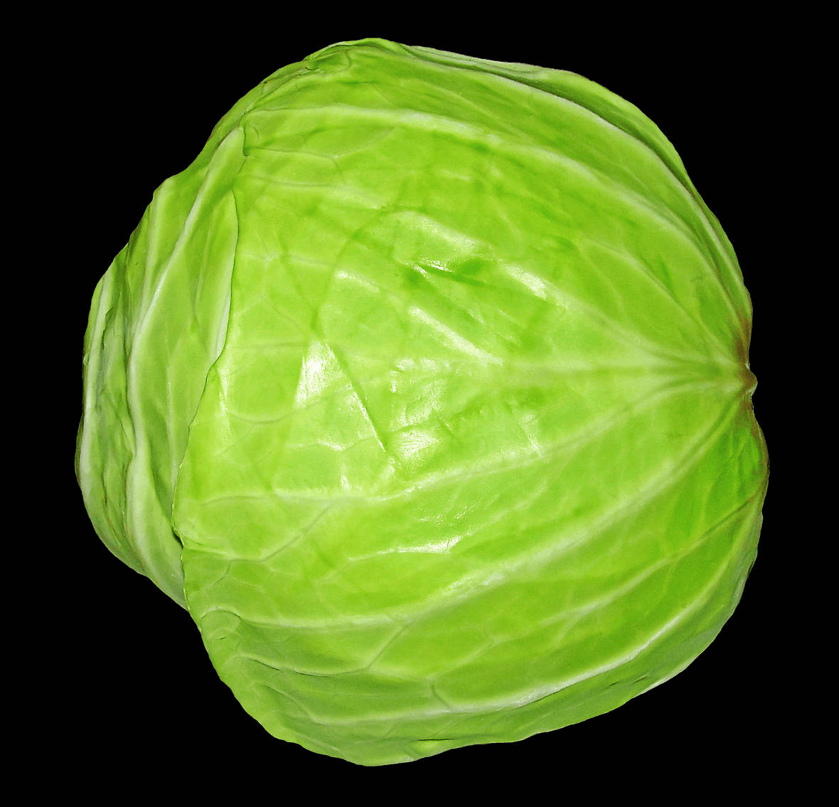 White Surface Cabbage