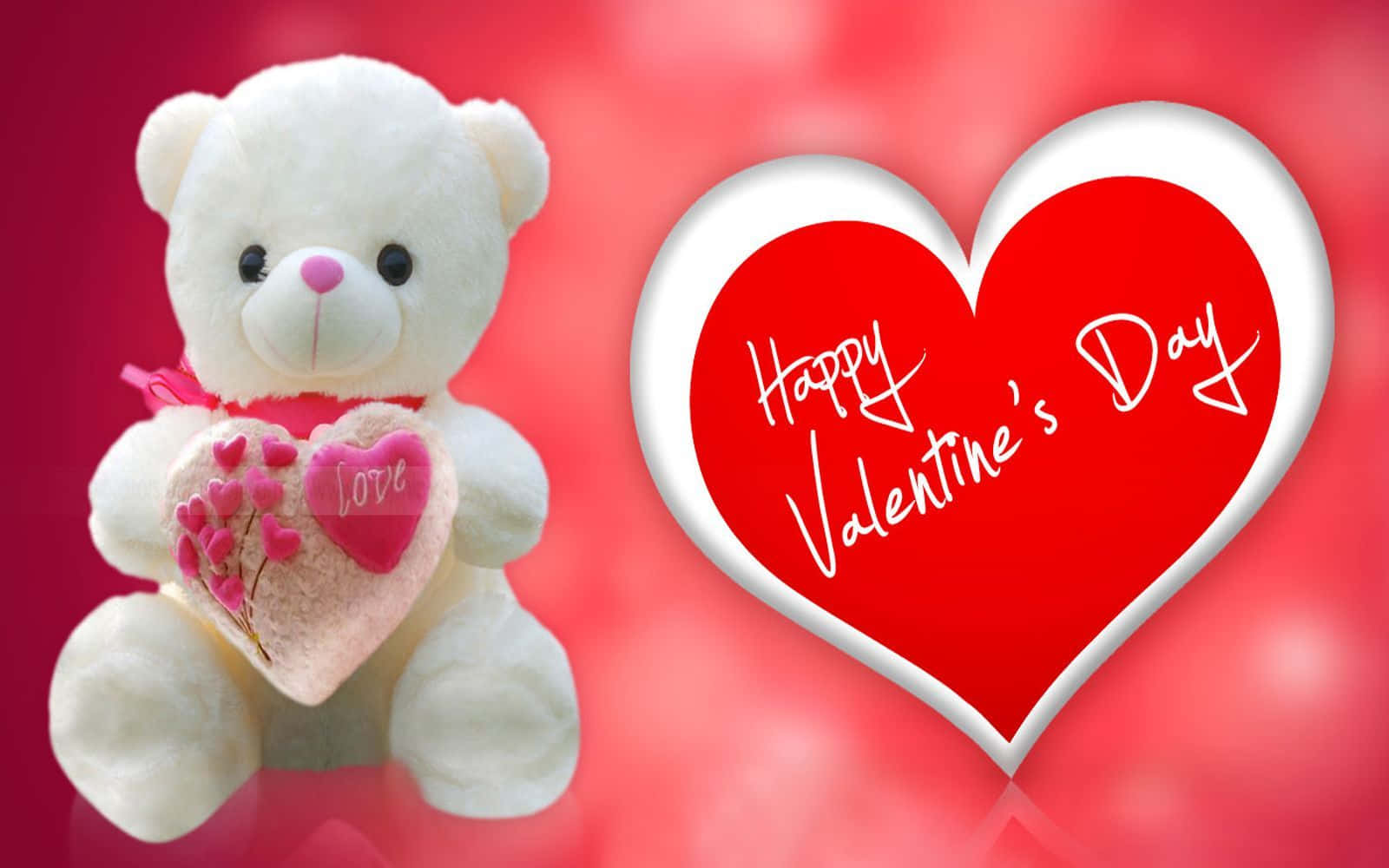 White Teddy Bear Happy Valentines Day Hd Background