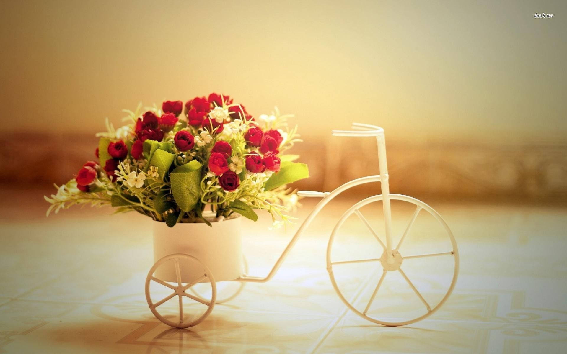 White Tricycle With Pretty Roses Background