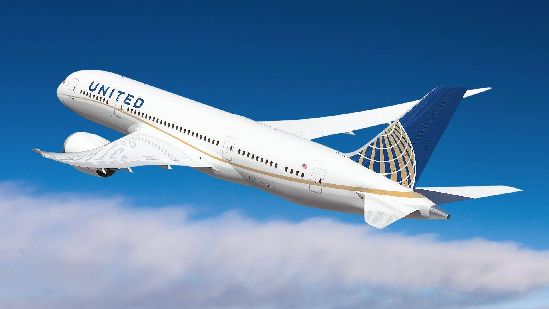 White United Airlines Plane